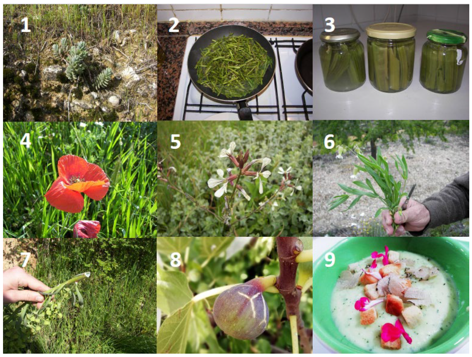 Plants 13 00775 g003 Plants 13 00775 g003