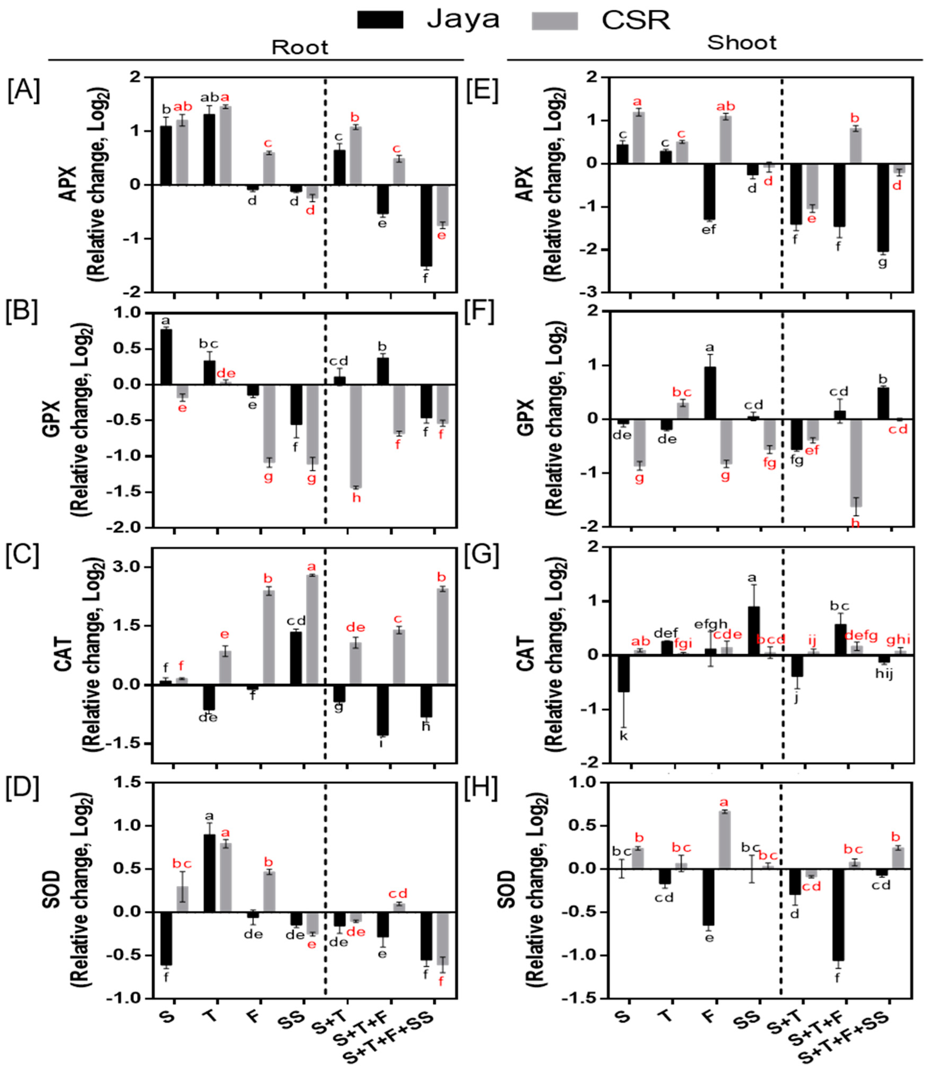 Plants 13 00778 g004