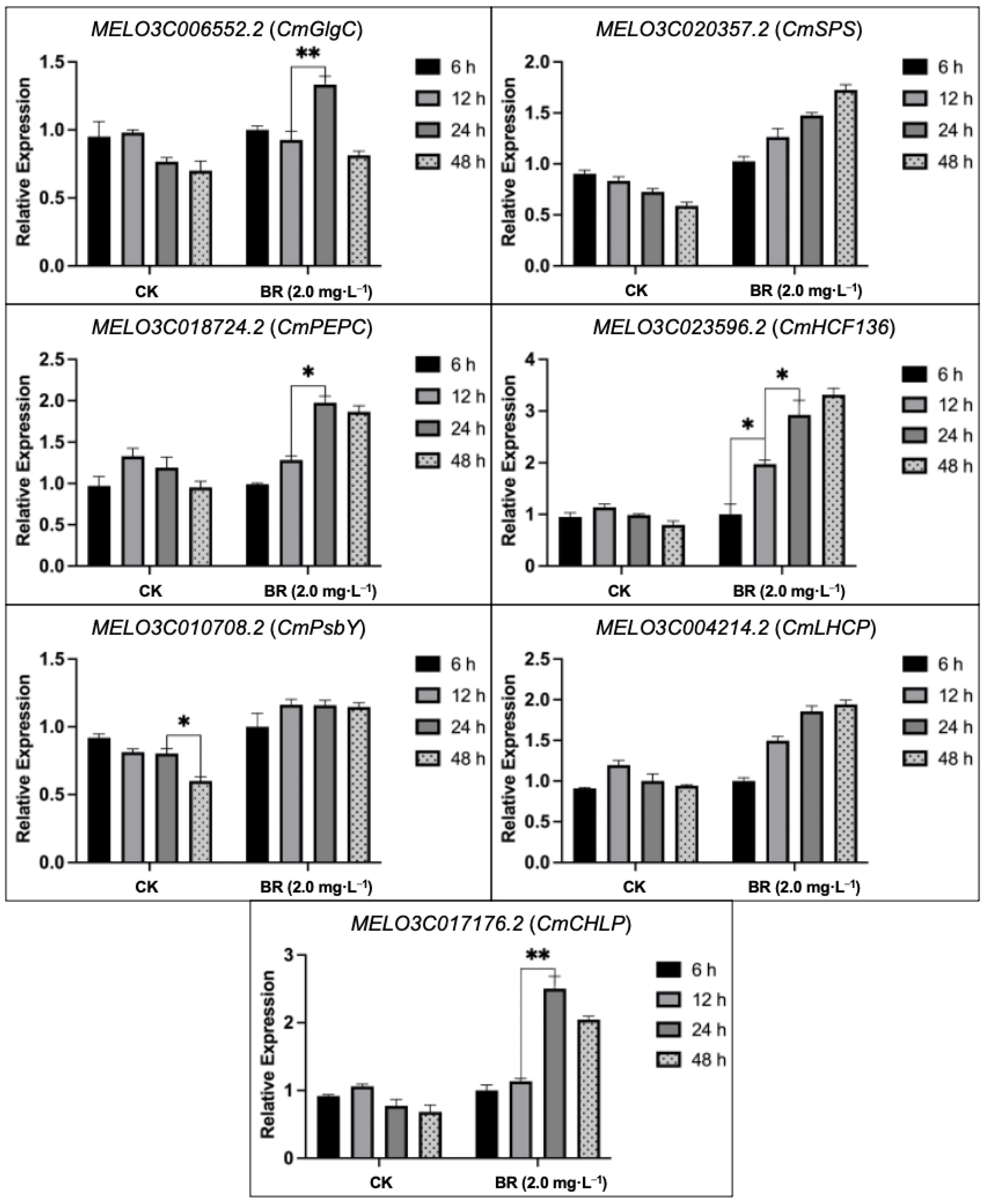 Plants 13 00779 g006