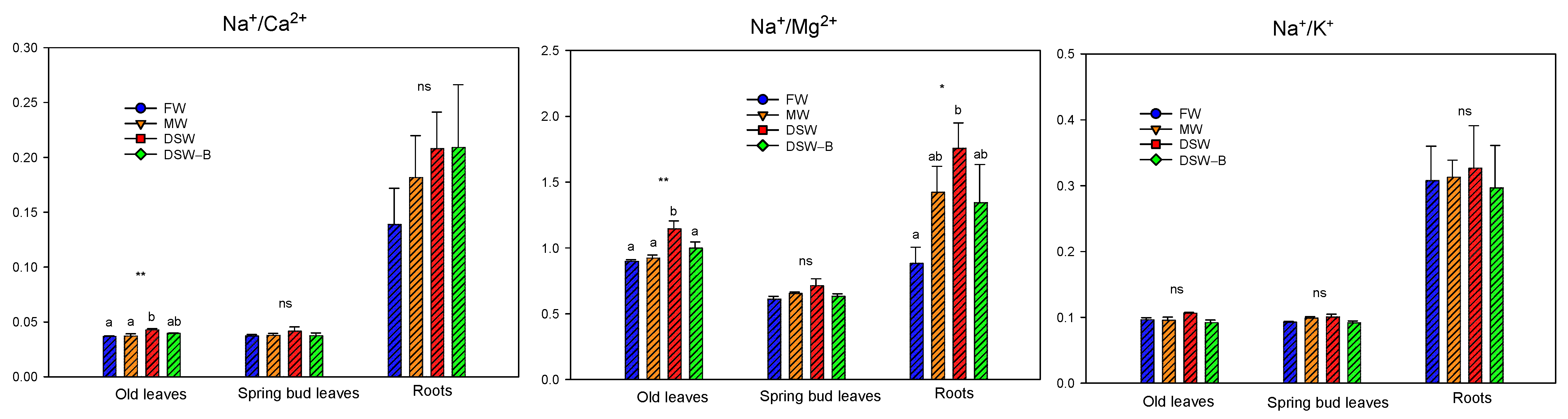 Plants 13 00781 g004