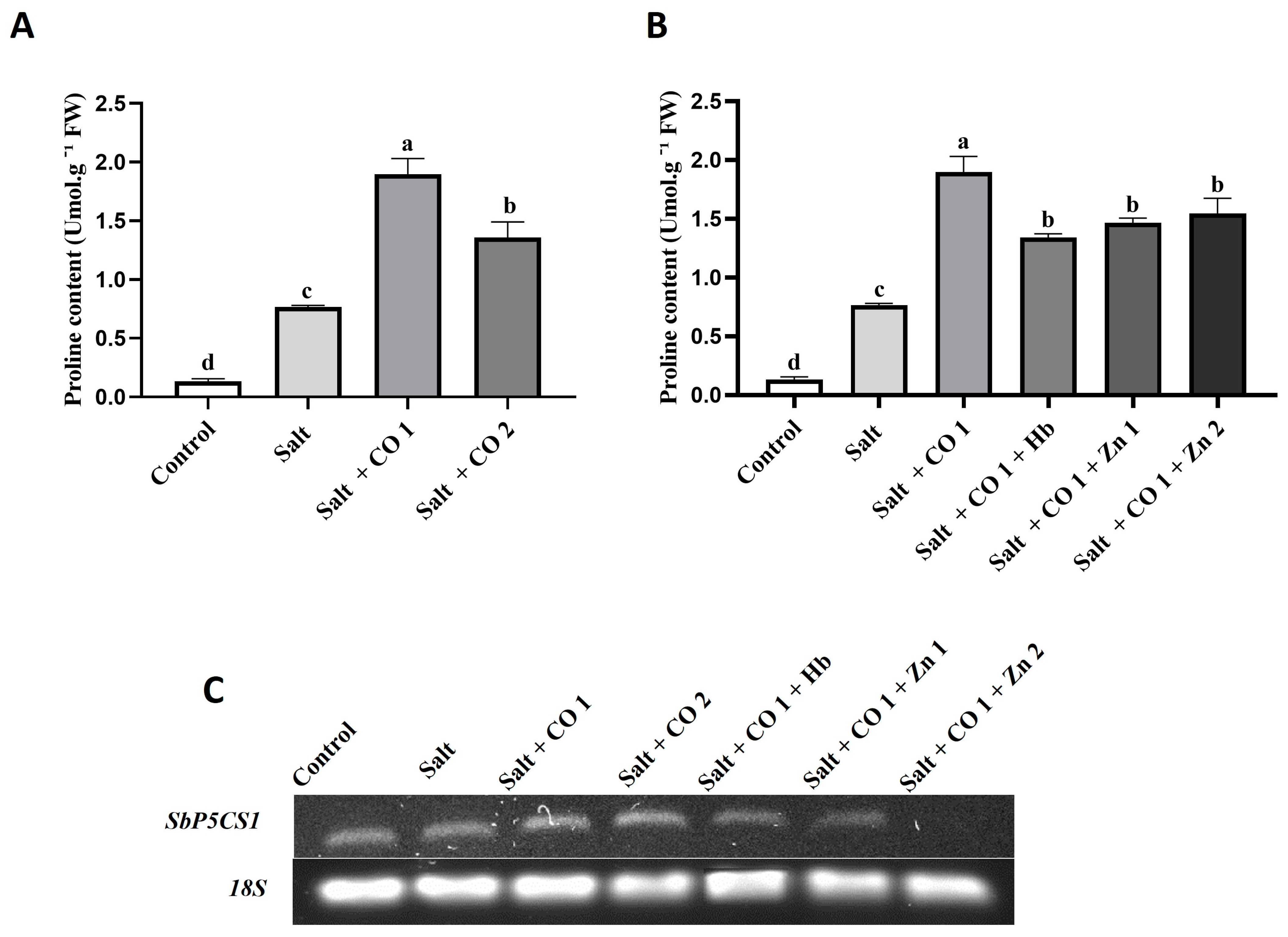 Plants 13 00782 g003 Plants 13 00782 g003