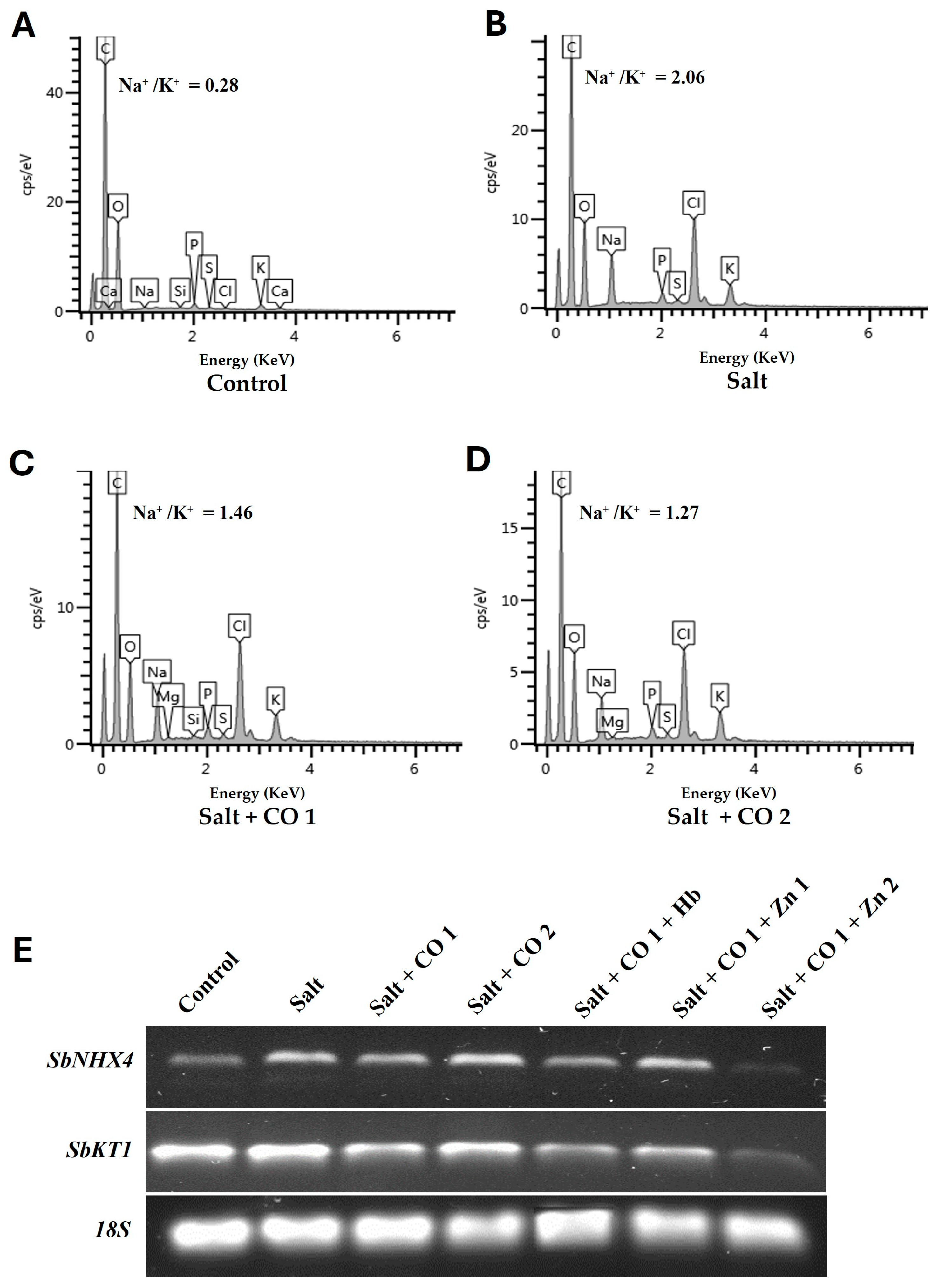 Plants 13 00782 g005 Plants 13 00782 g005
