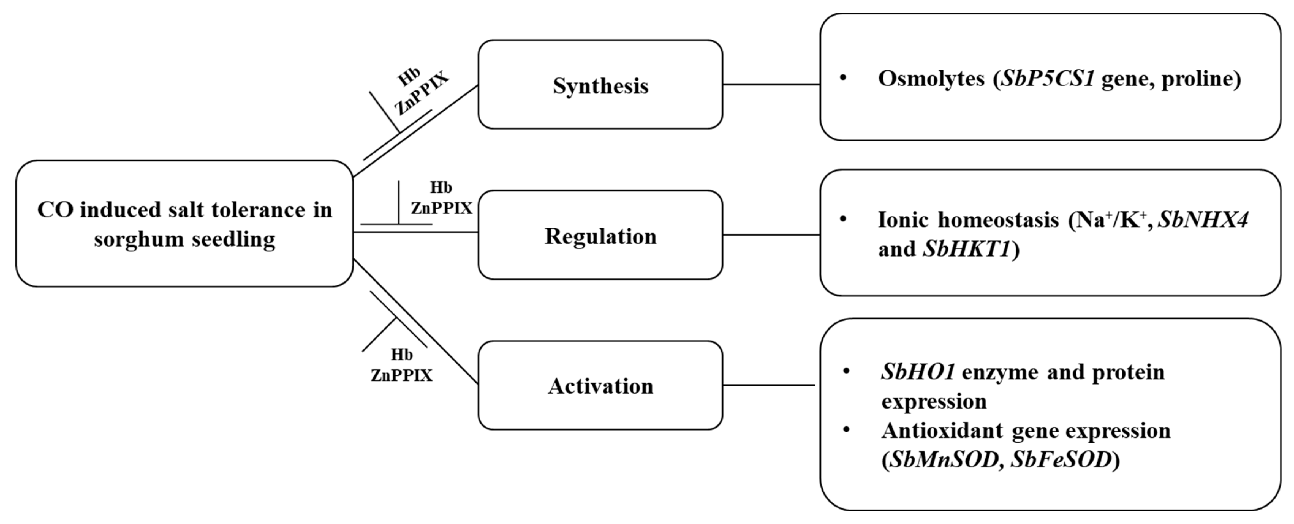 Plants 13 00782 g010 Plants 13 00782 g010