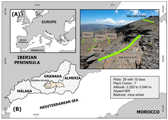 Plants 13 00783 g0a1