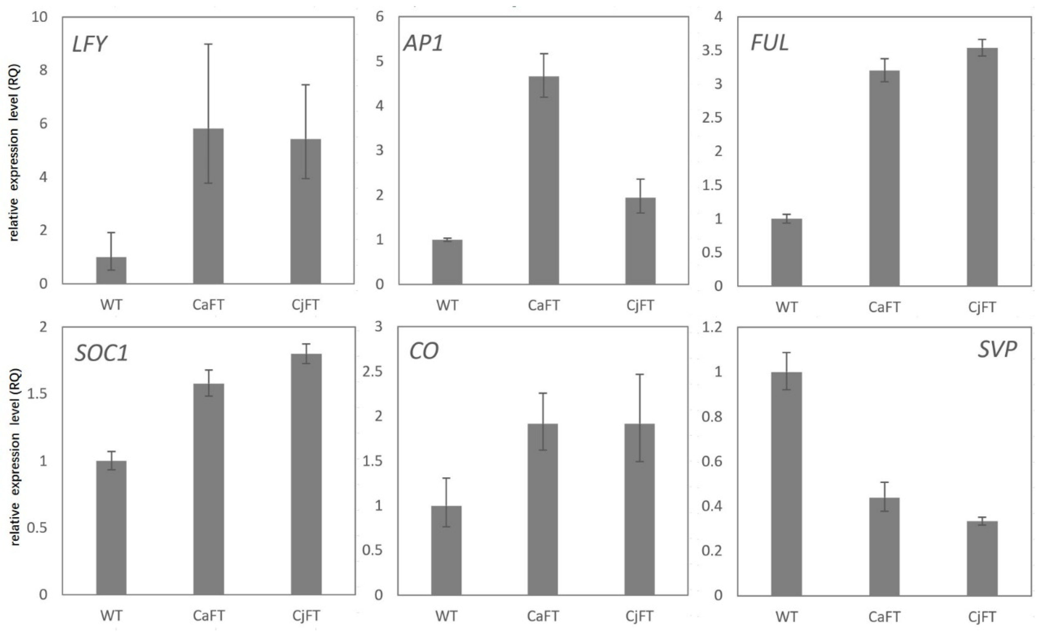 Plants 13 00784 g004