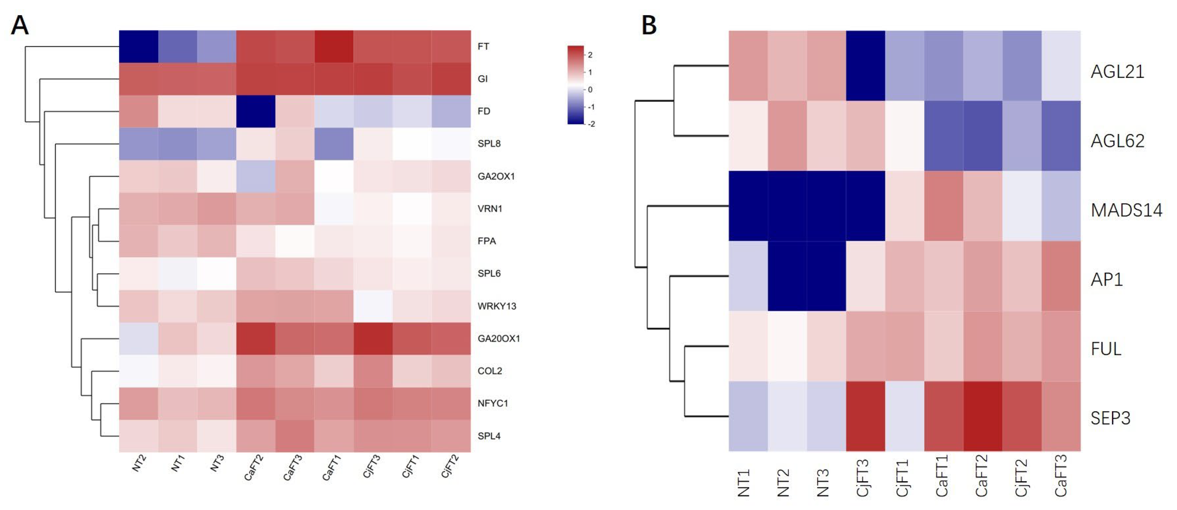 Plants 13 00784 g007
