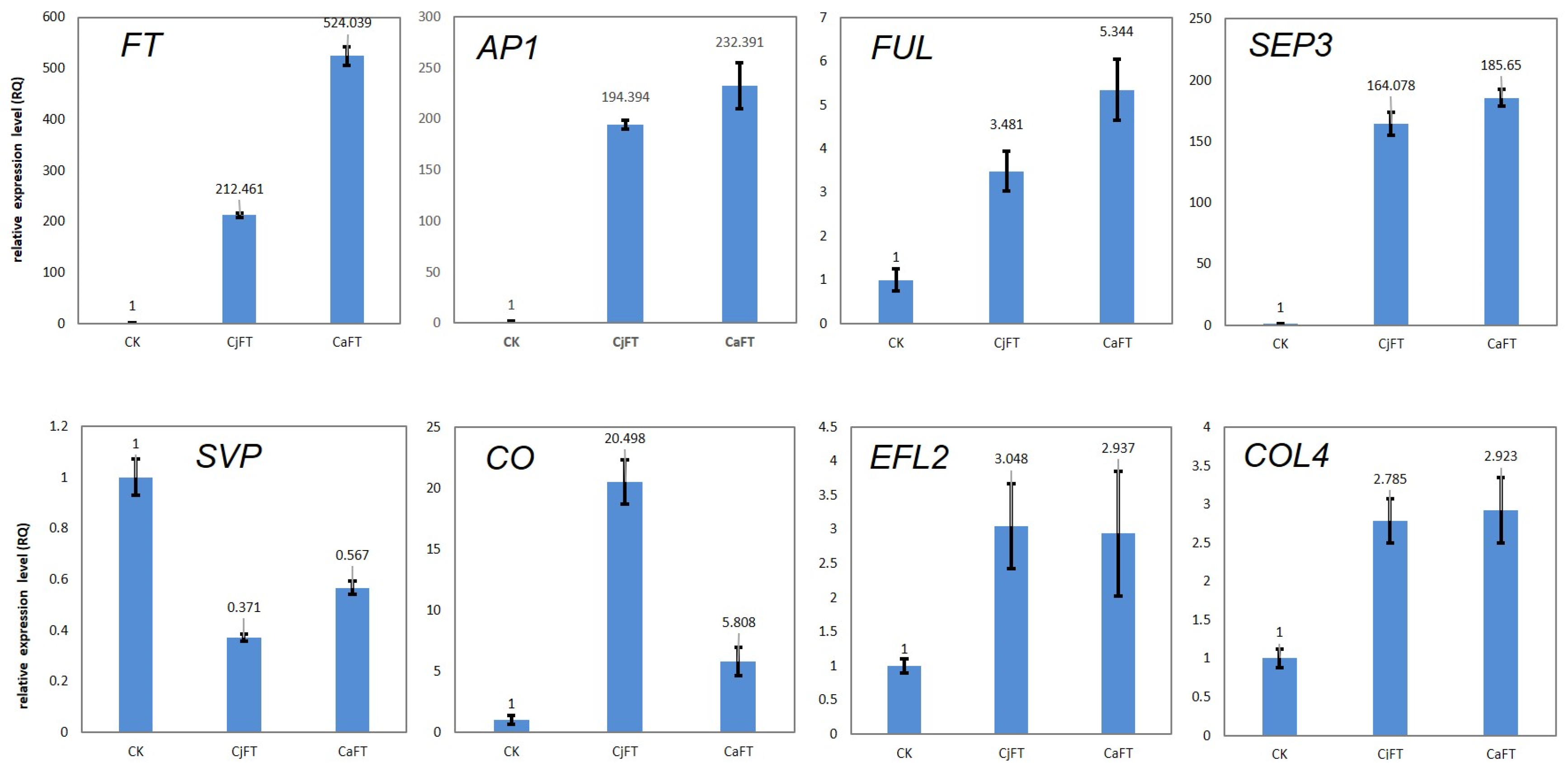 Plants 13 00784 g008