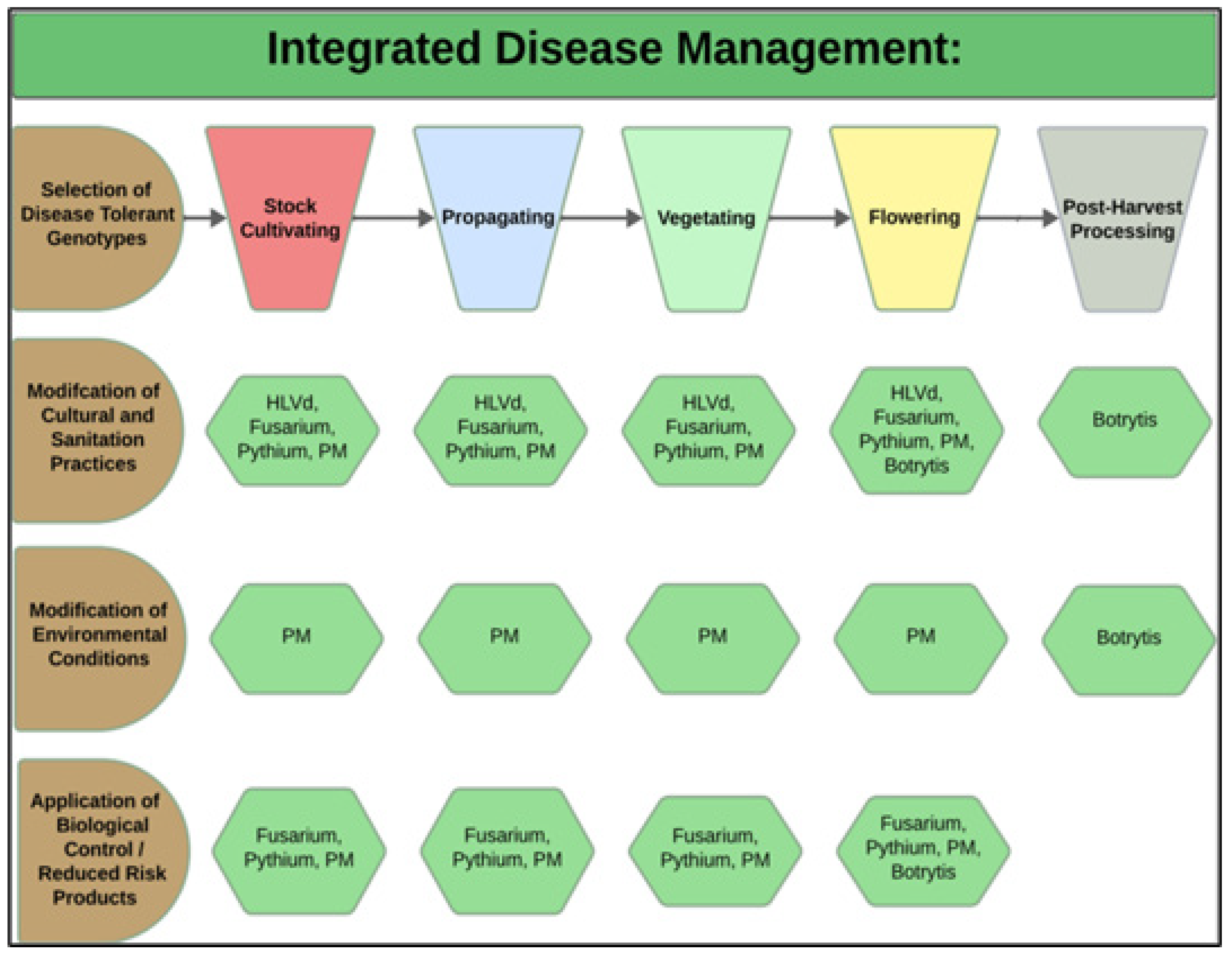 Plants 13 00786 g003