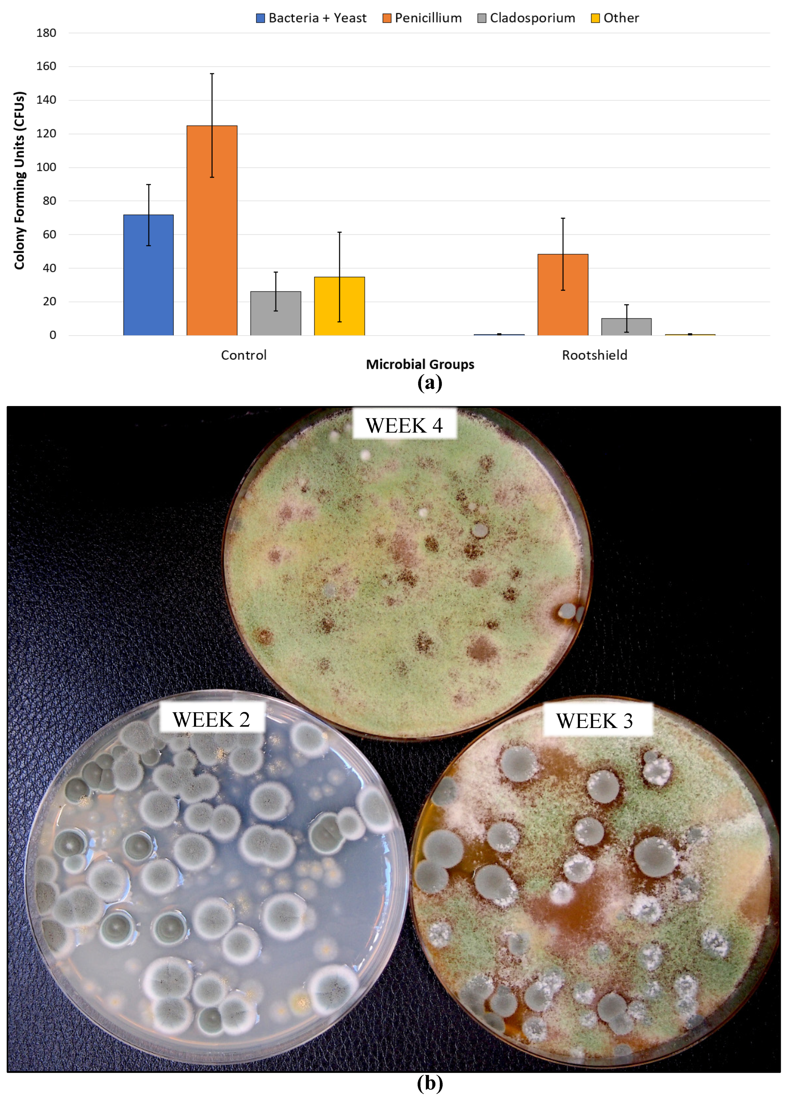 Plants 13 00786 g020