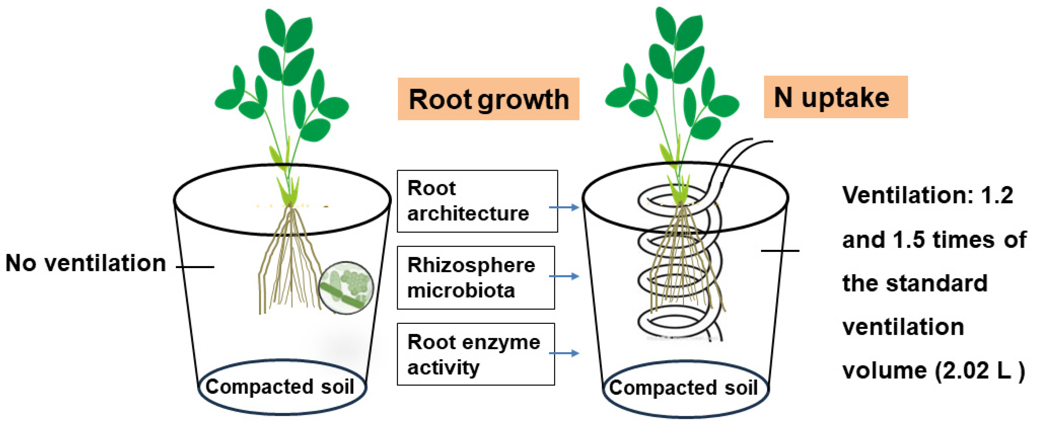 Plants 13 00790 g001
