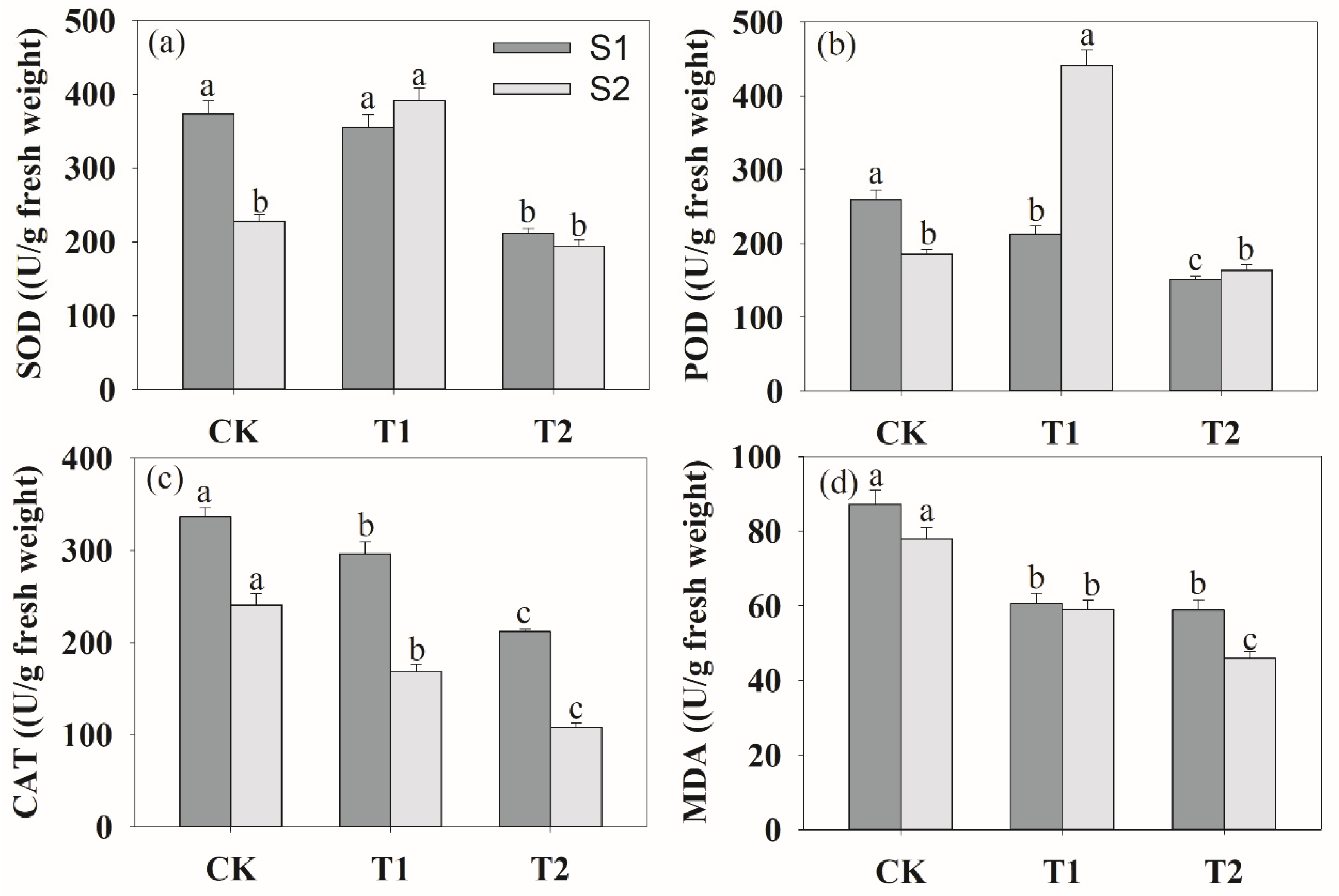 Plants 13 00790 g006