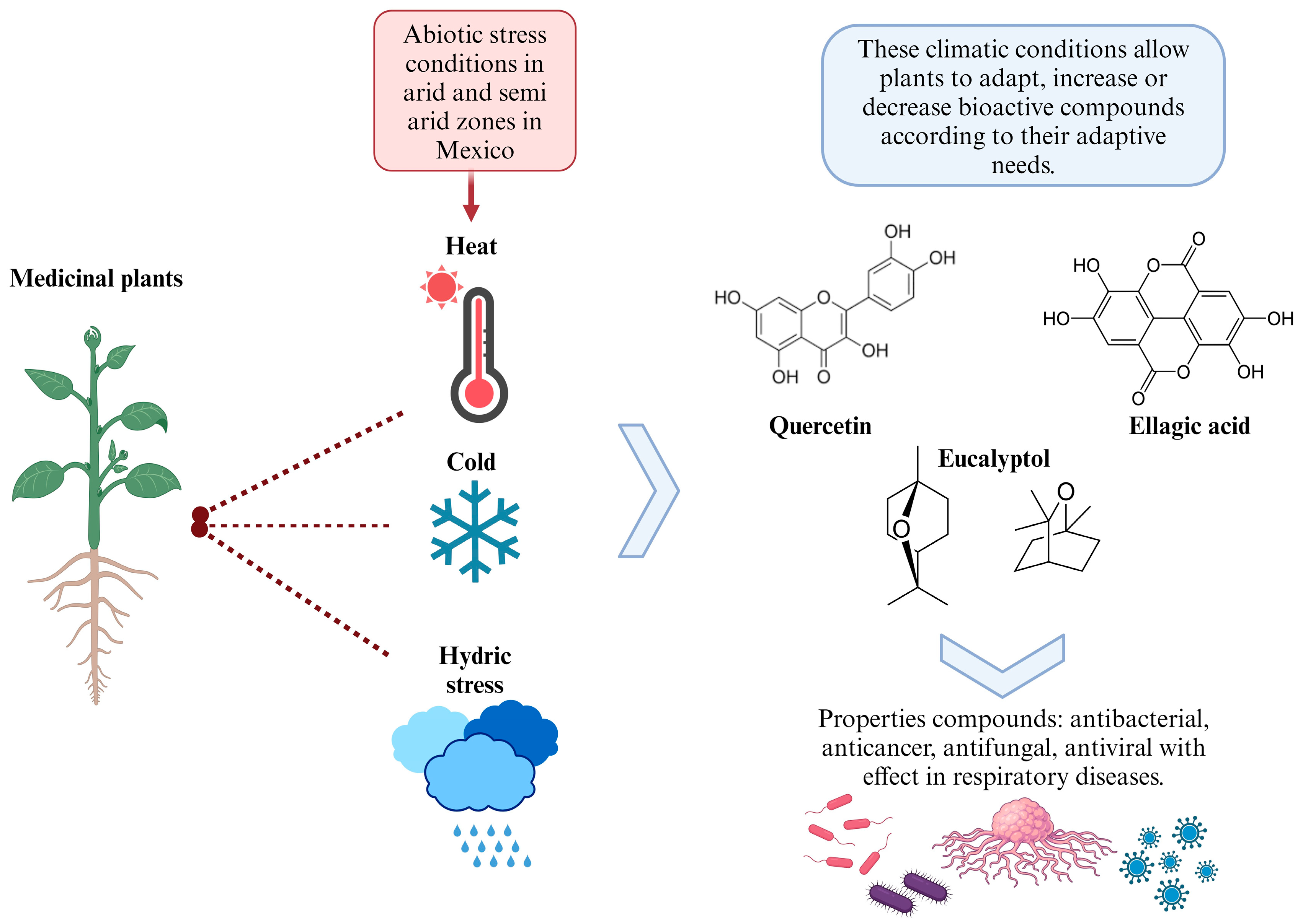 Plants 13 00792 g002 Plants 13 00792 g002