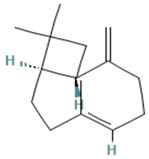 Plants 13 00792 i014 Plants 13 00792 i014