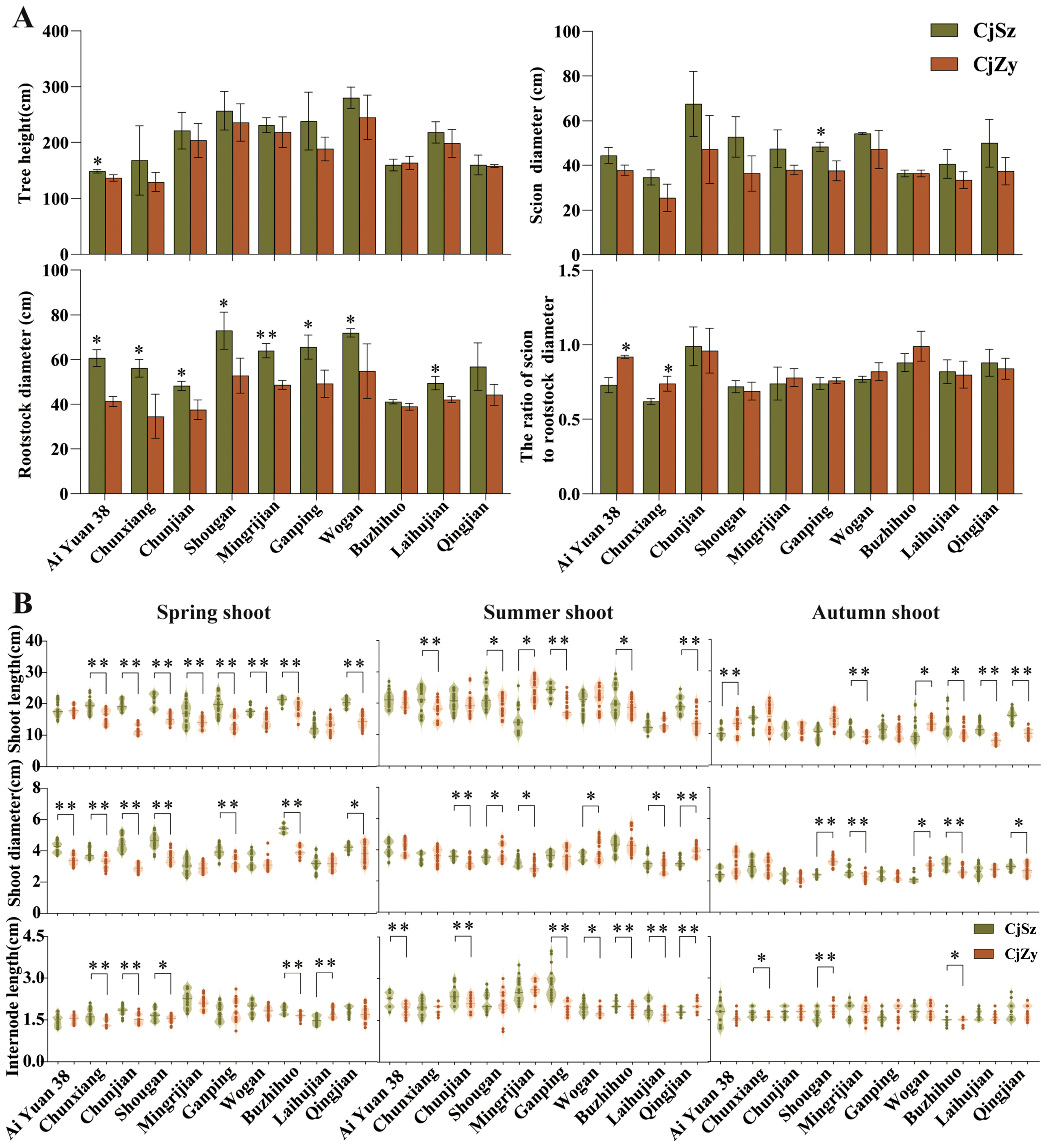 Plants 13 00794 g002