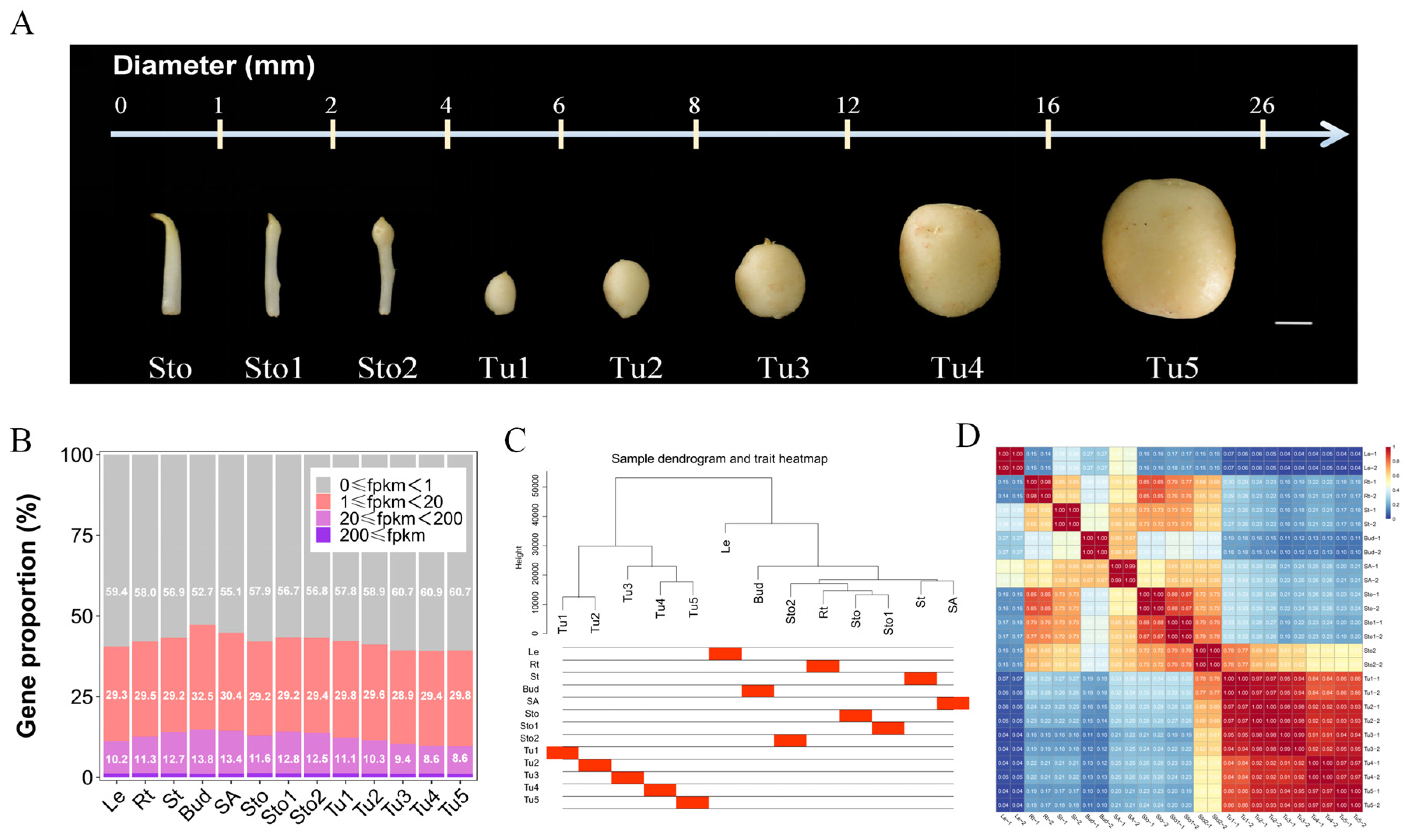 Plants 13 00795 g001