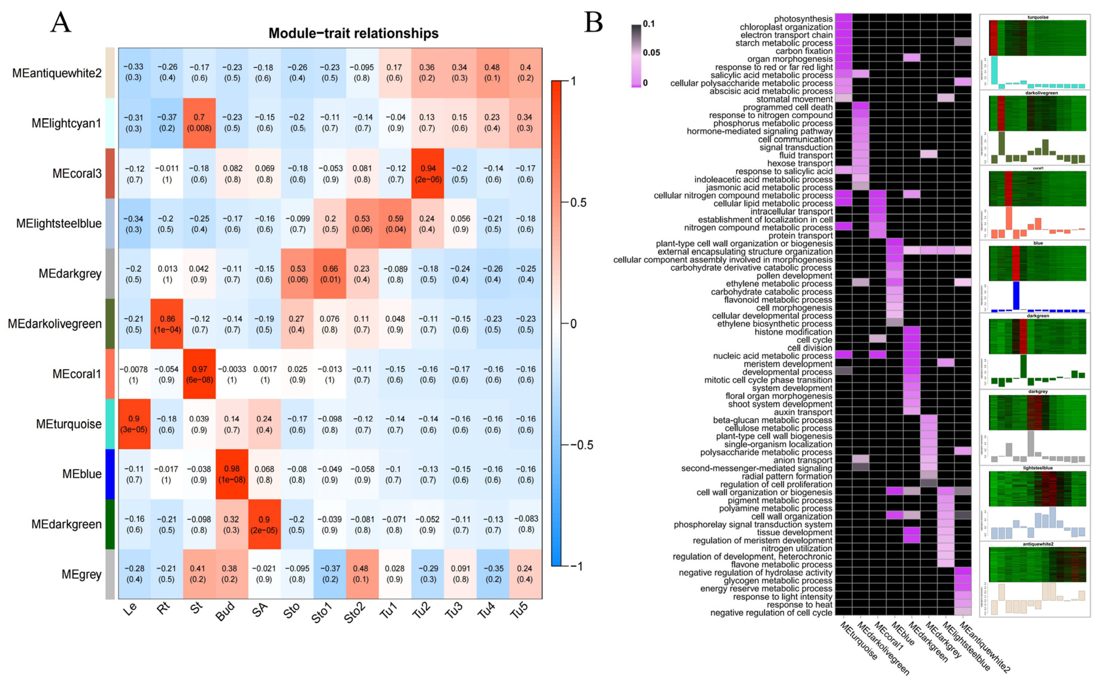 Plants 13 00795 g002