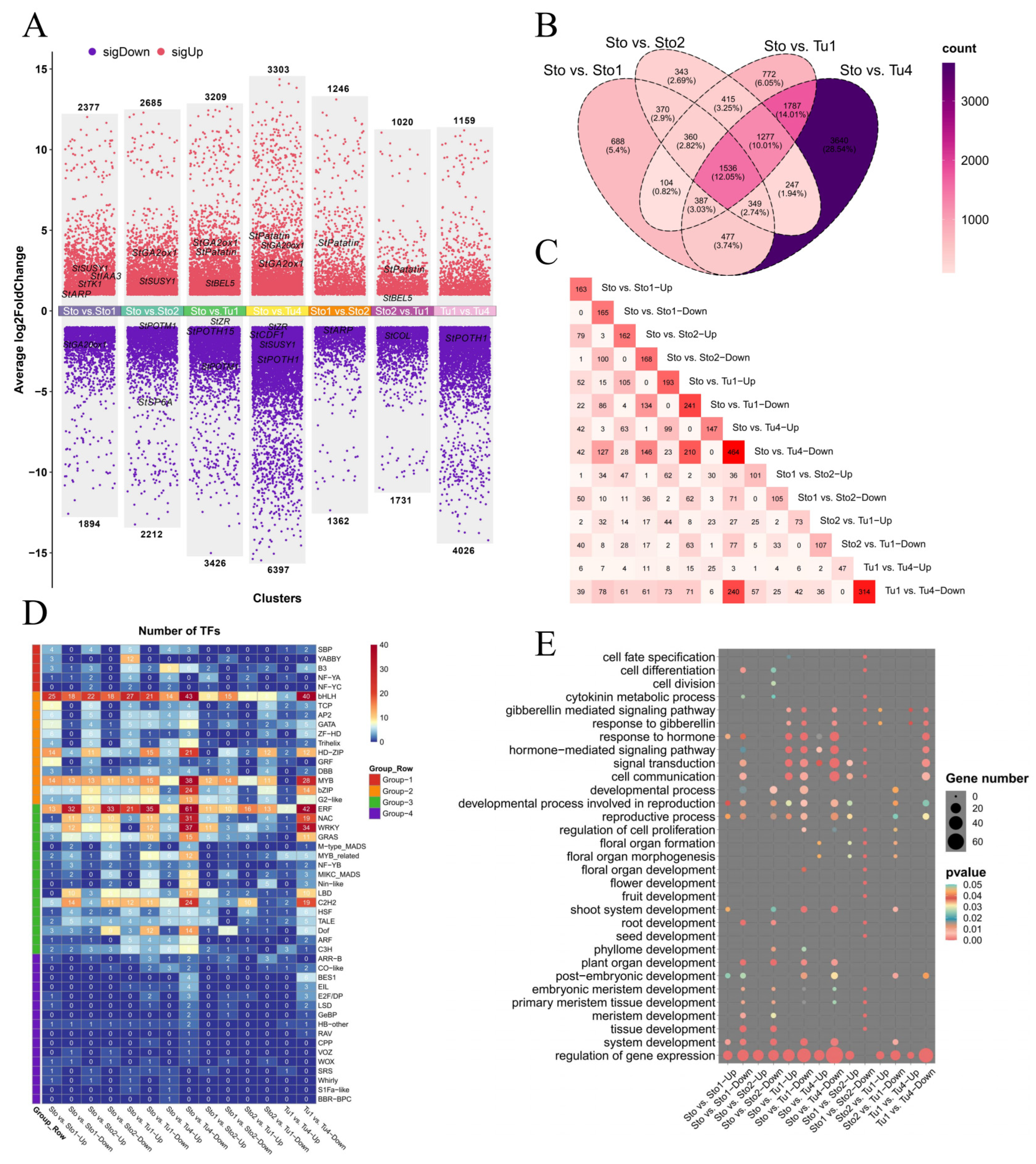 Plants 13 00795 g003