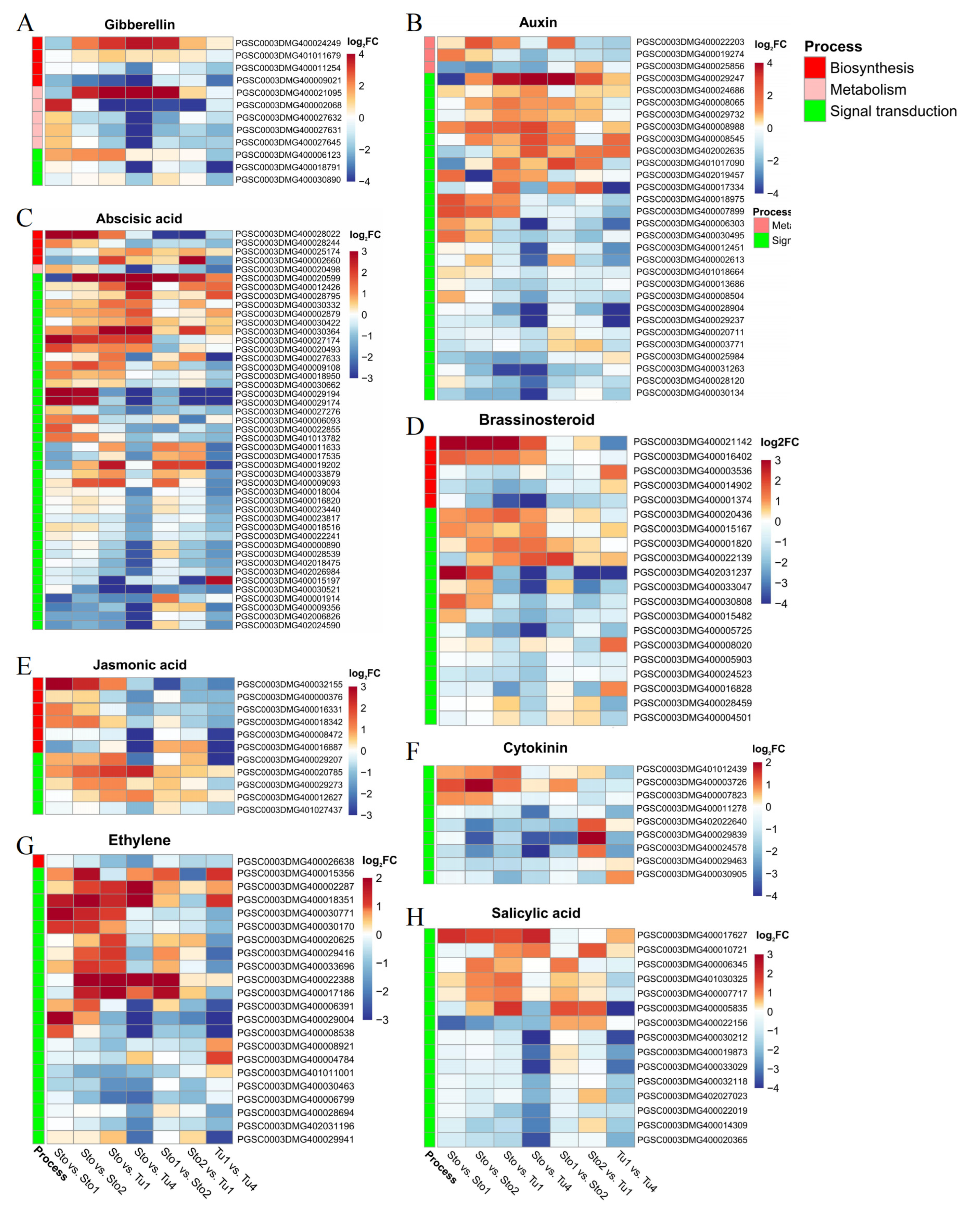 Plants 13 00795 g004