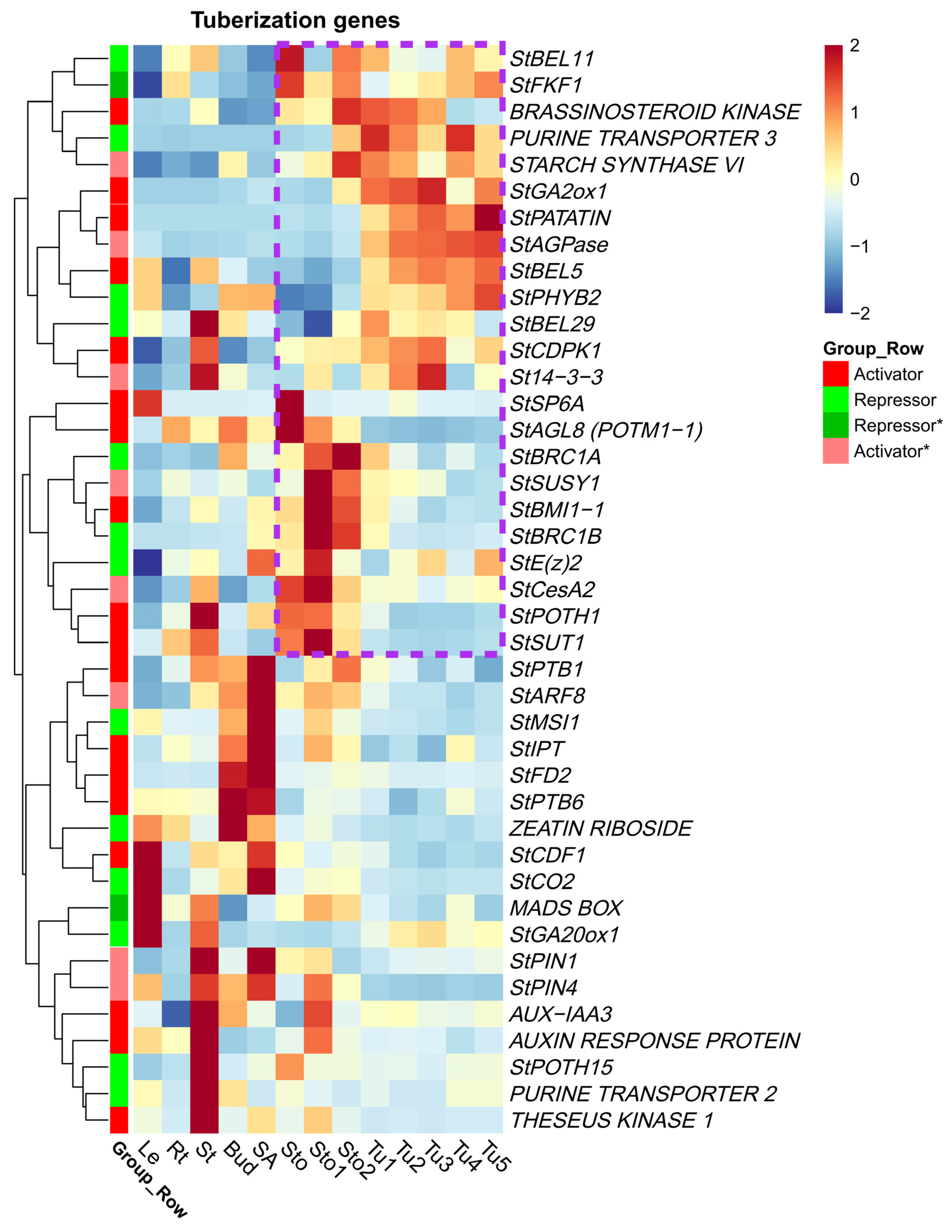 Plants 13 00795 g005