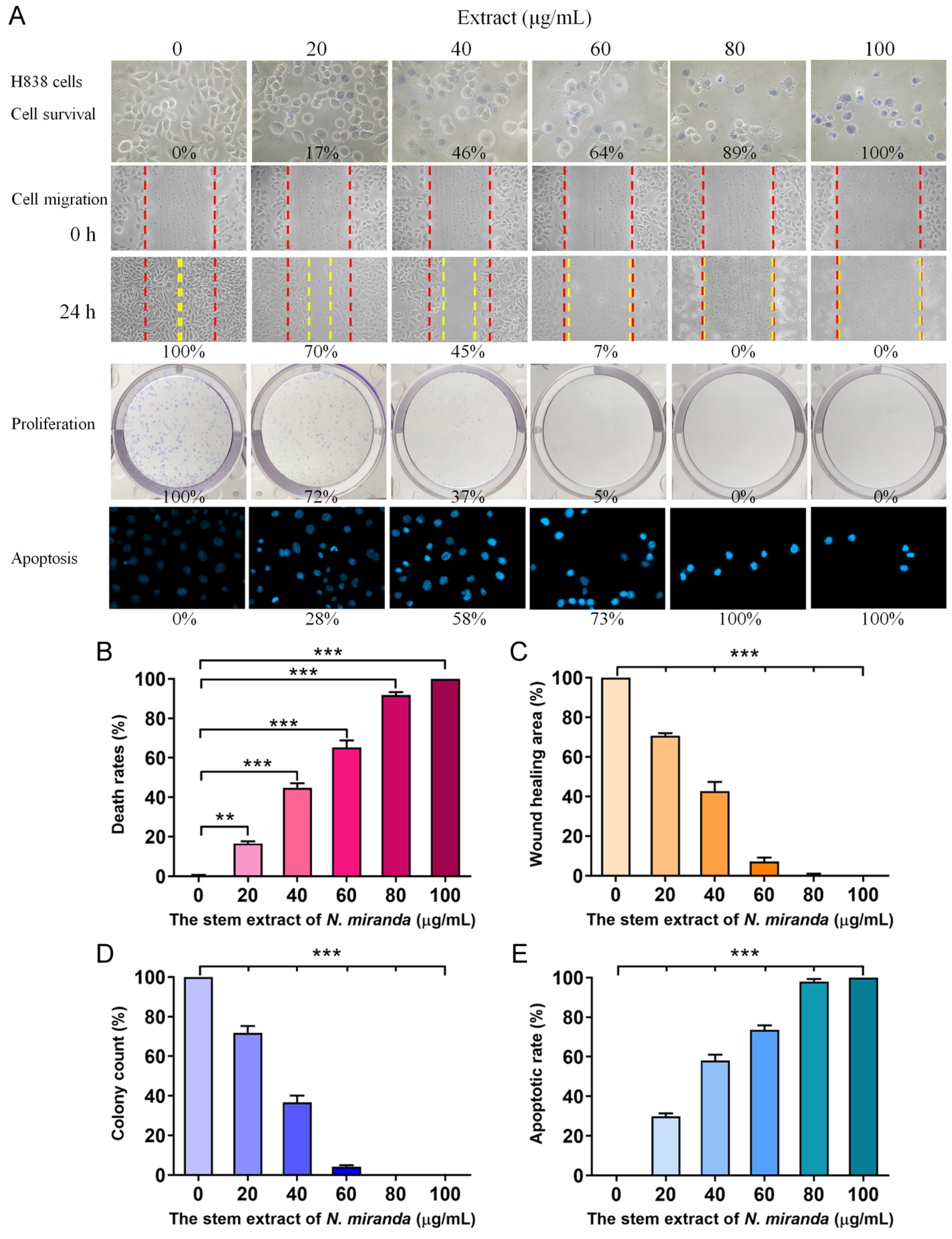 Plants 13 00797 g004