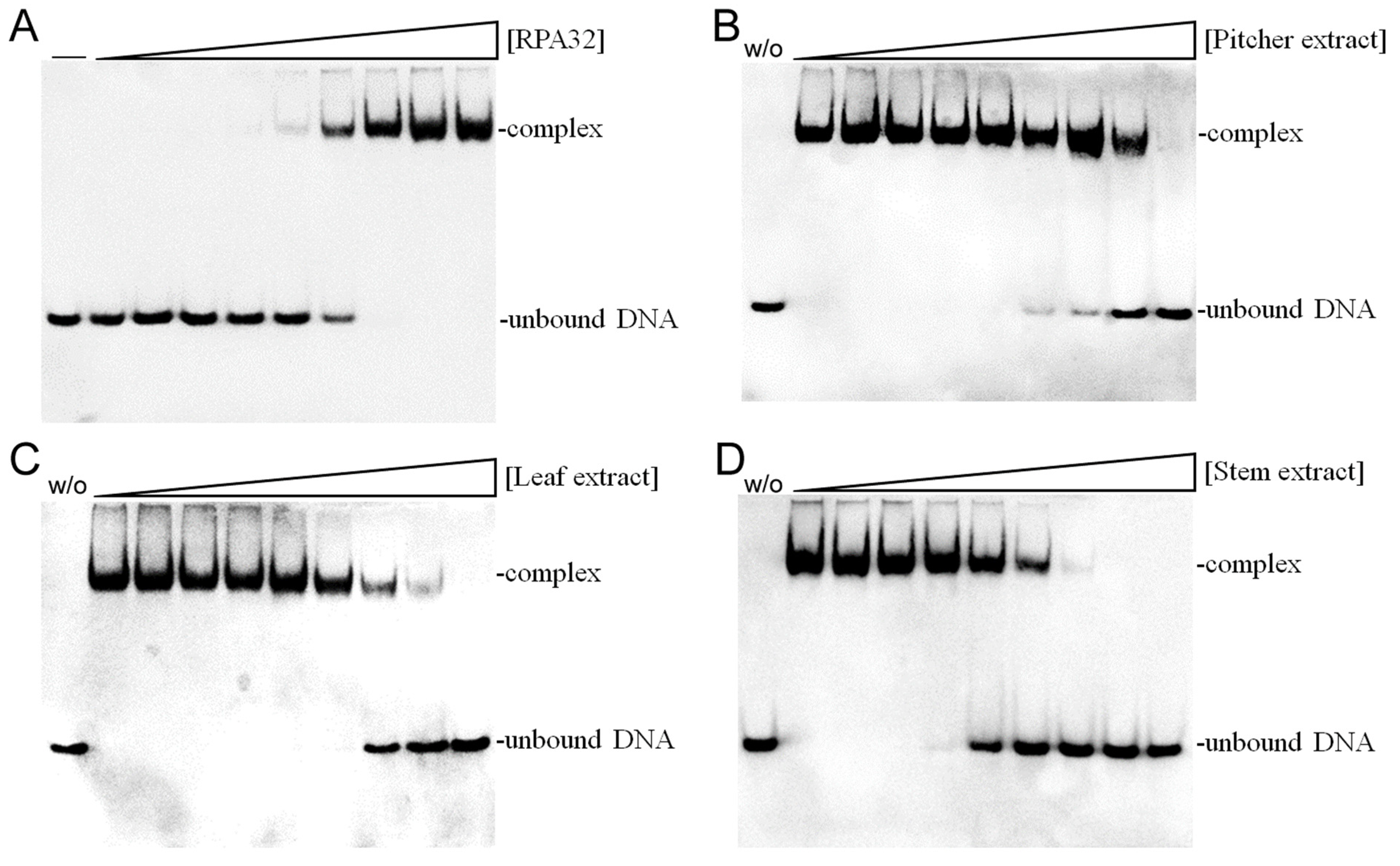 Plants 13 00797 g008