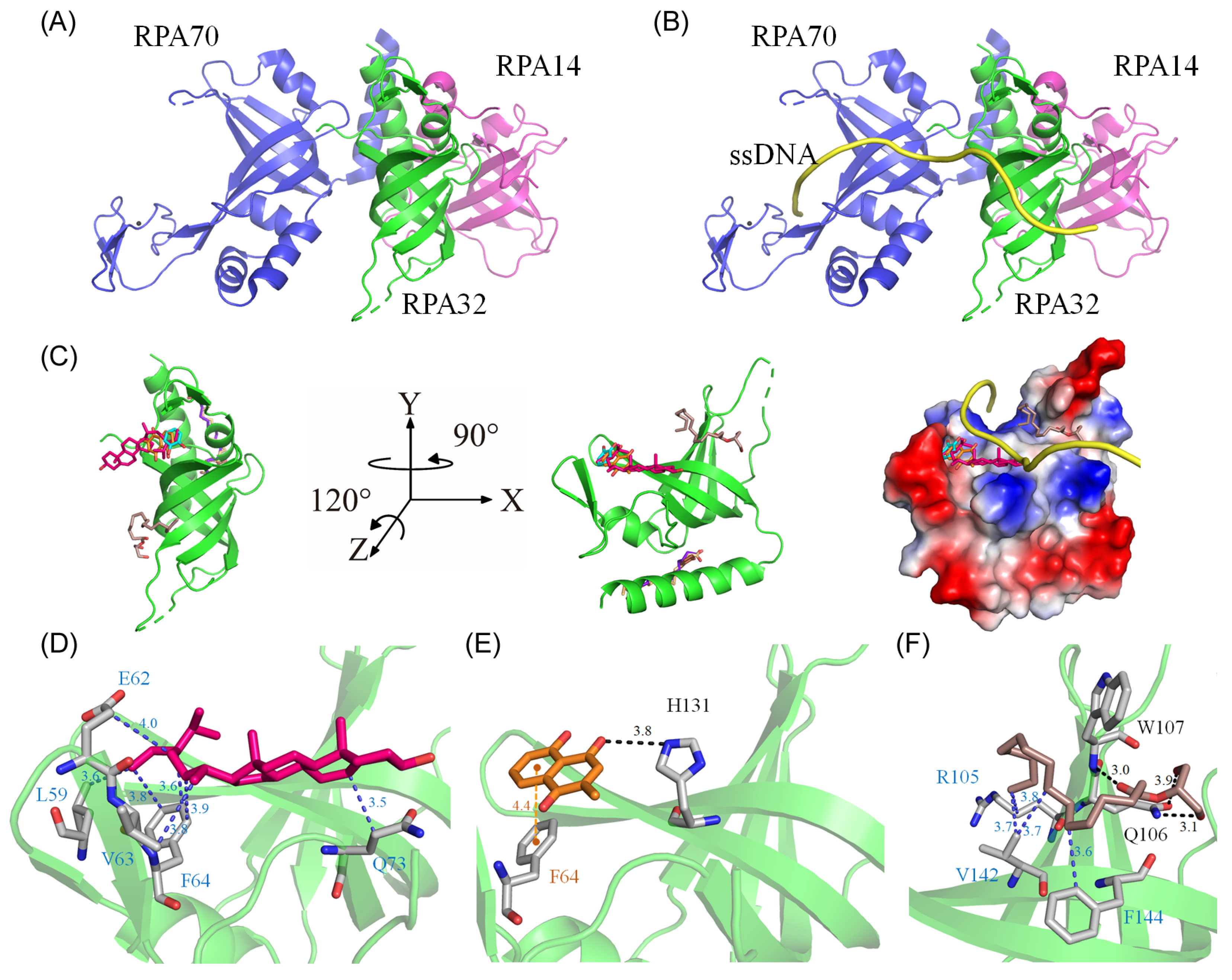 Plants 13 00797 g009