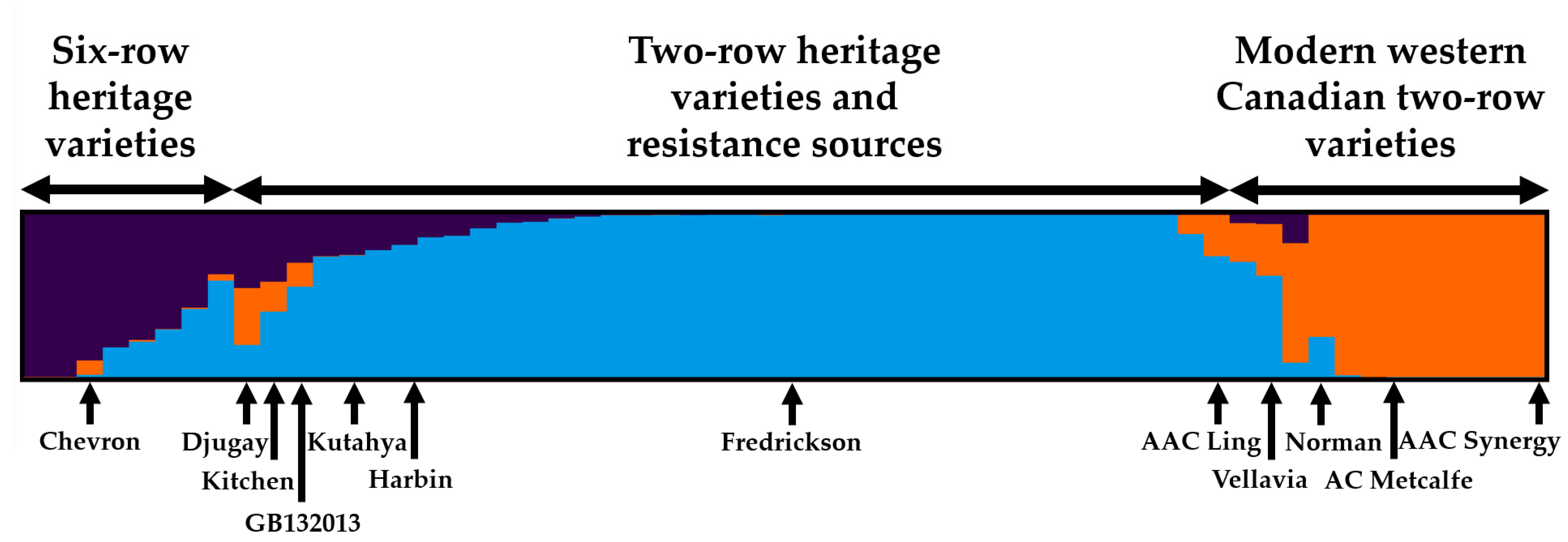 Plants 13 00799 g002 Plants 13 00799 g002