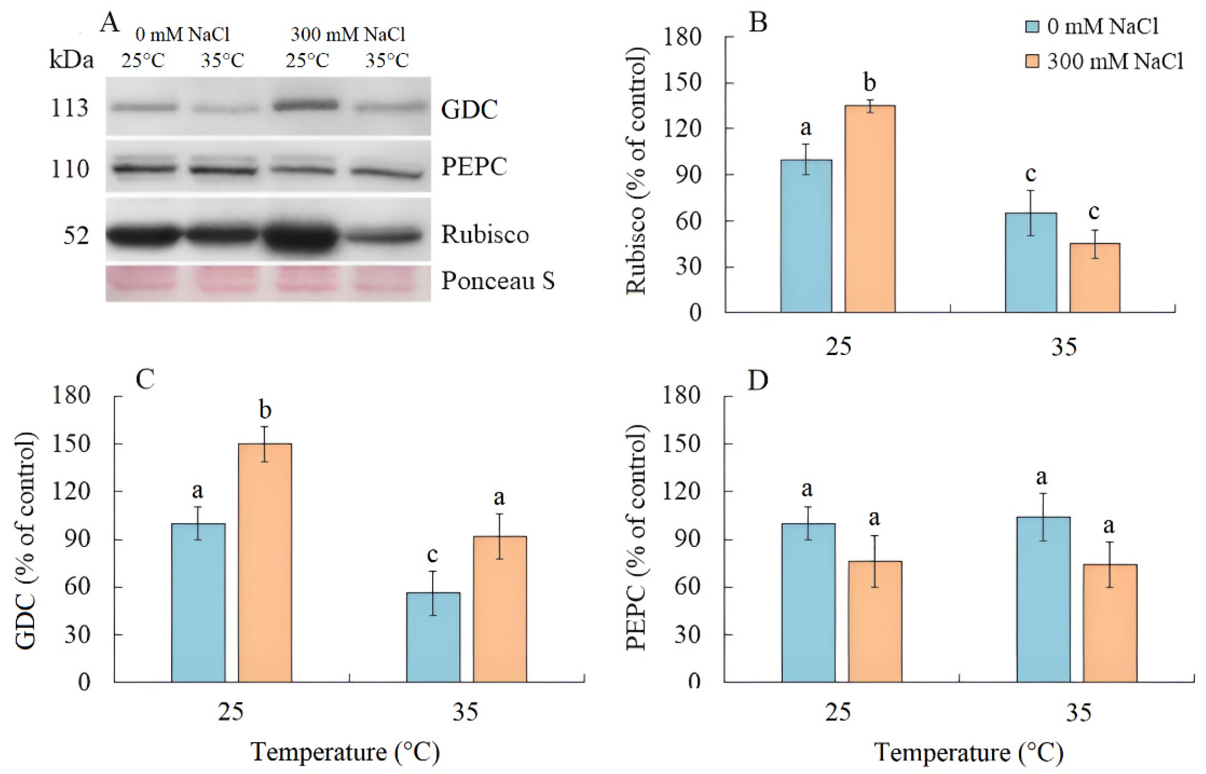 Plants 13 00800 g004