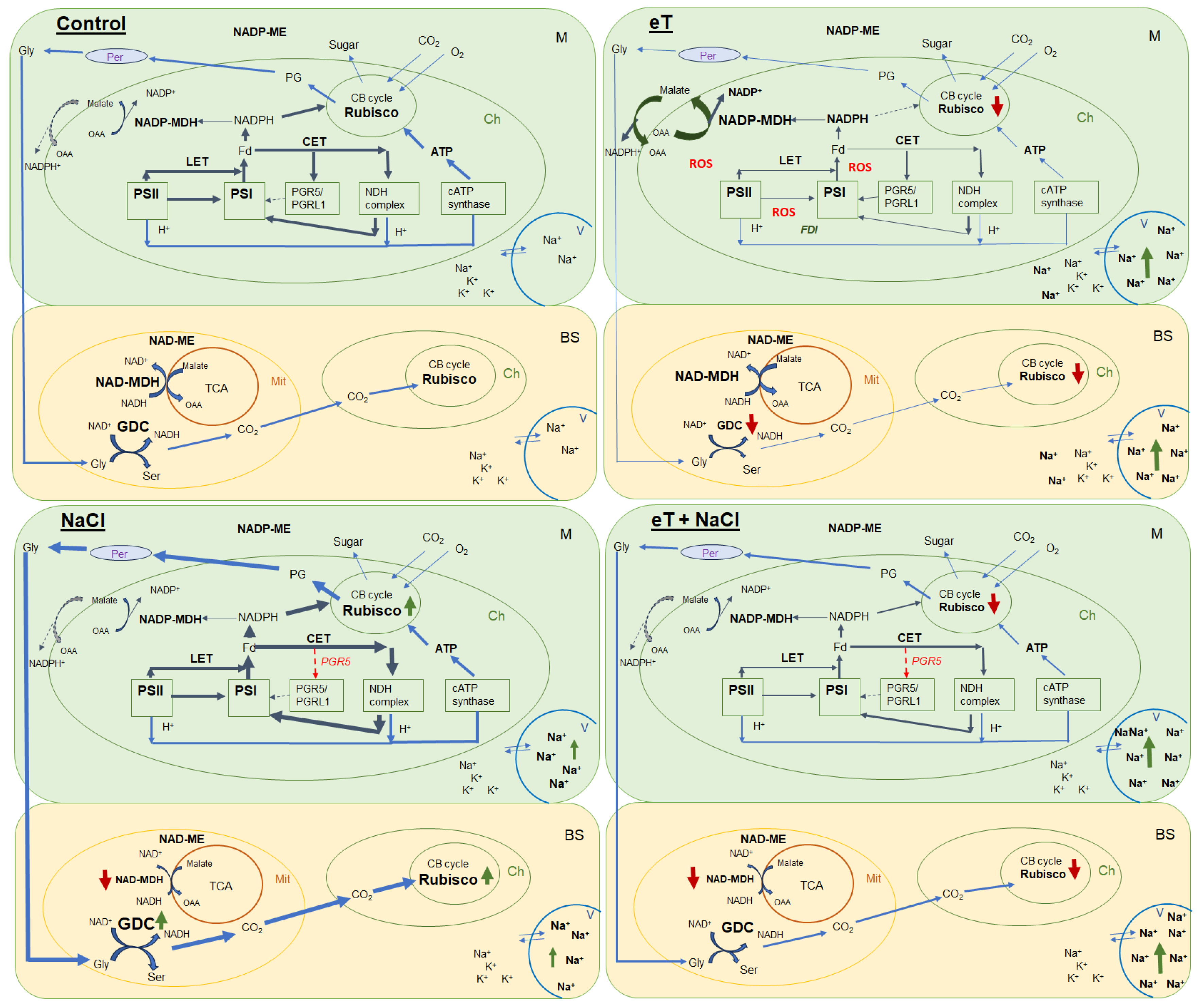 Plants 13 00800 g009
