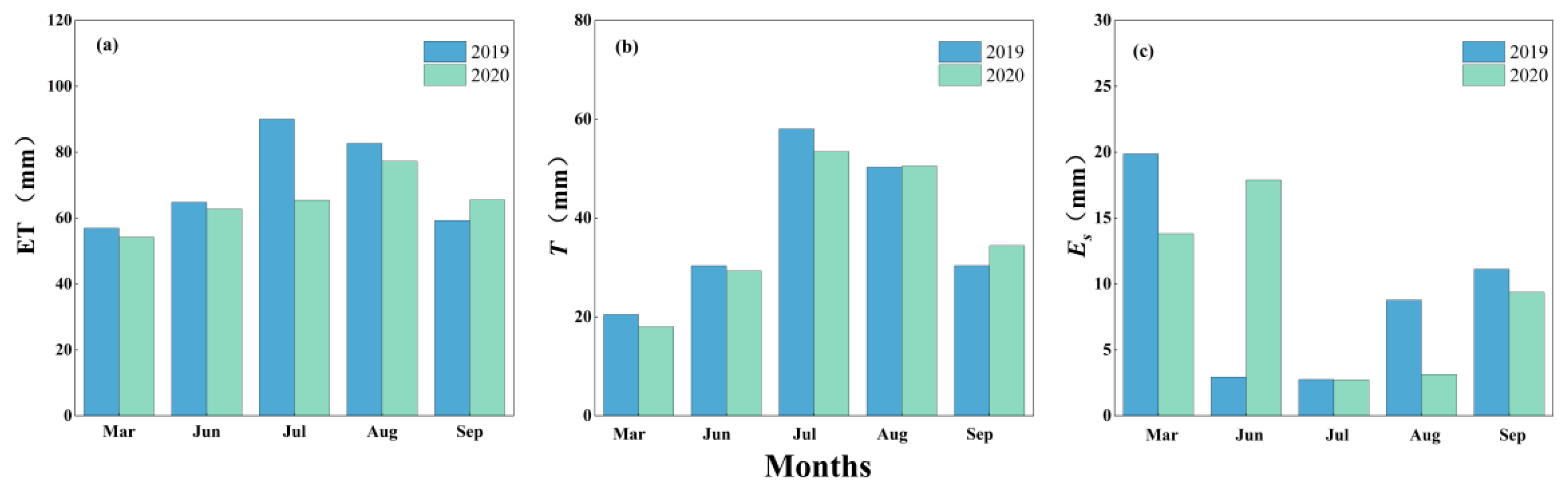 Plants 13 00801 g005 Plants 13 00801 g005