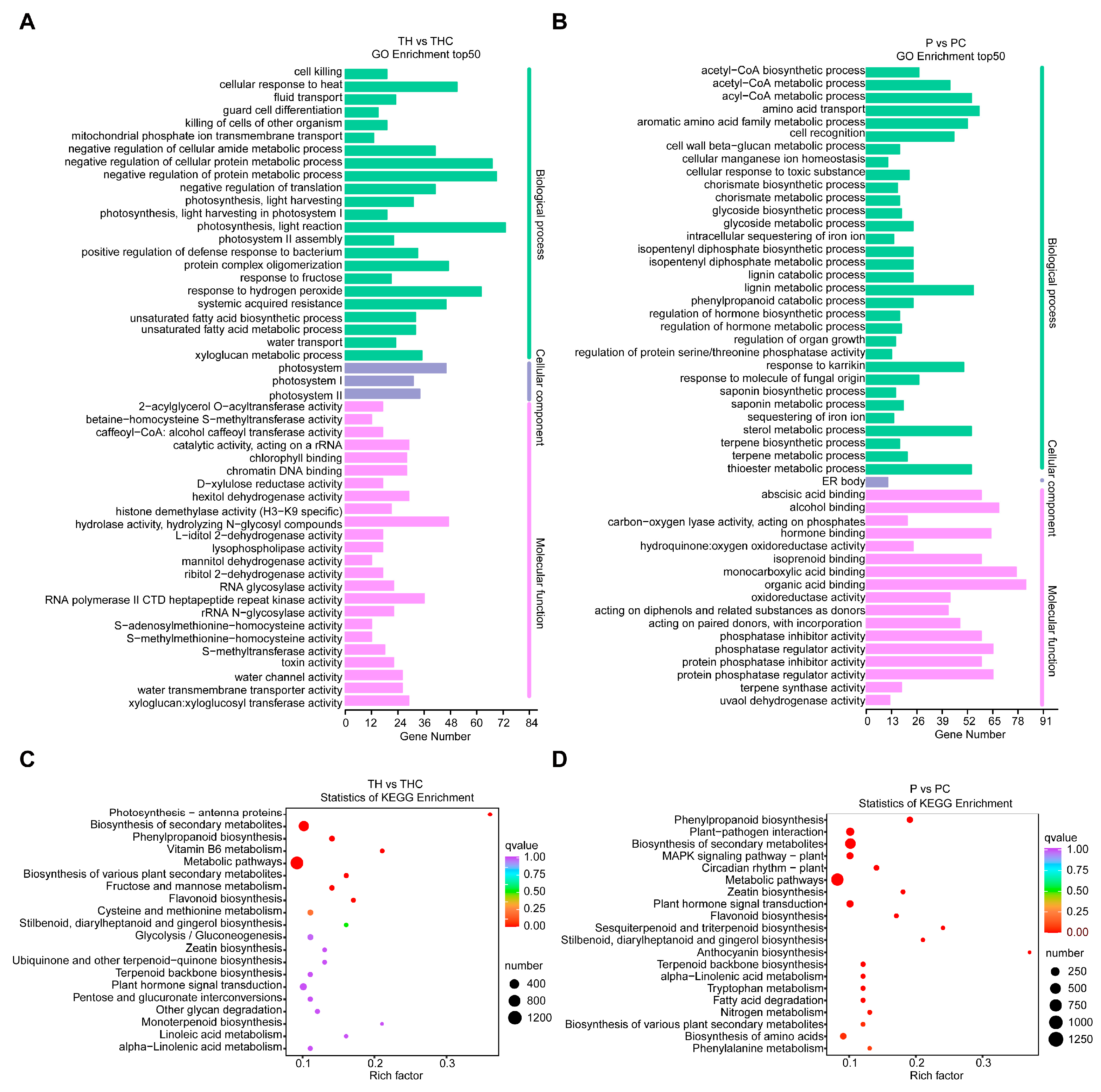Plants 13 00804 g004