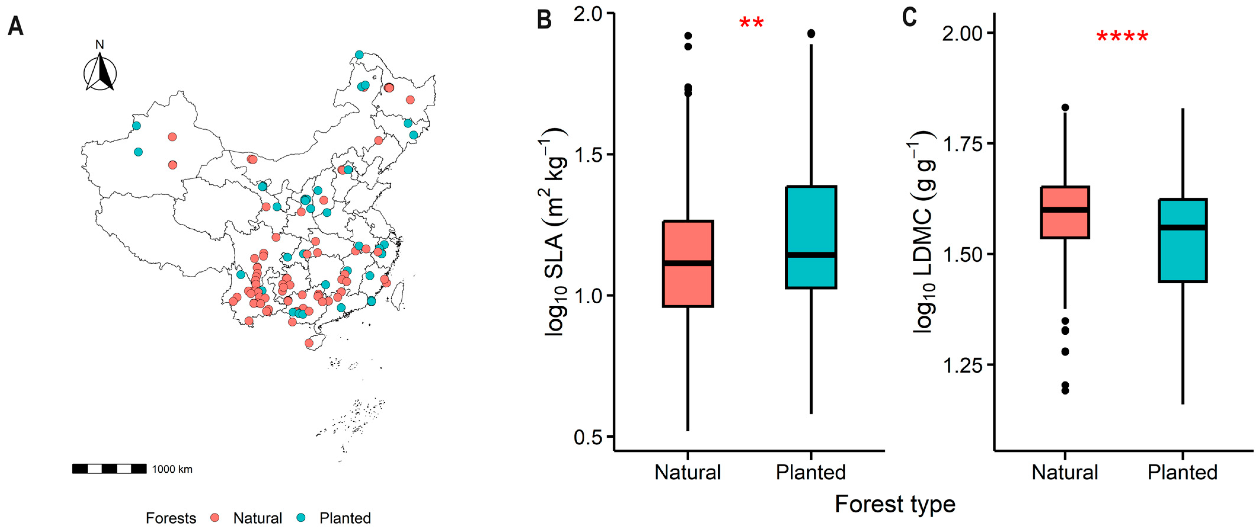 Plants 13 00806 g002