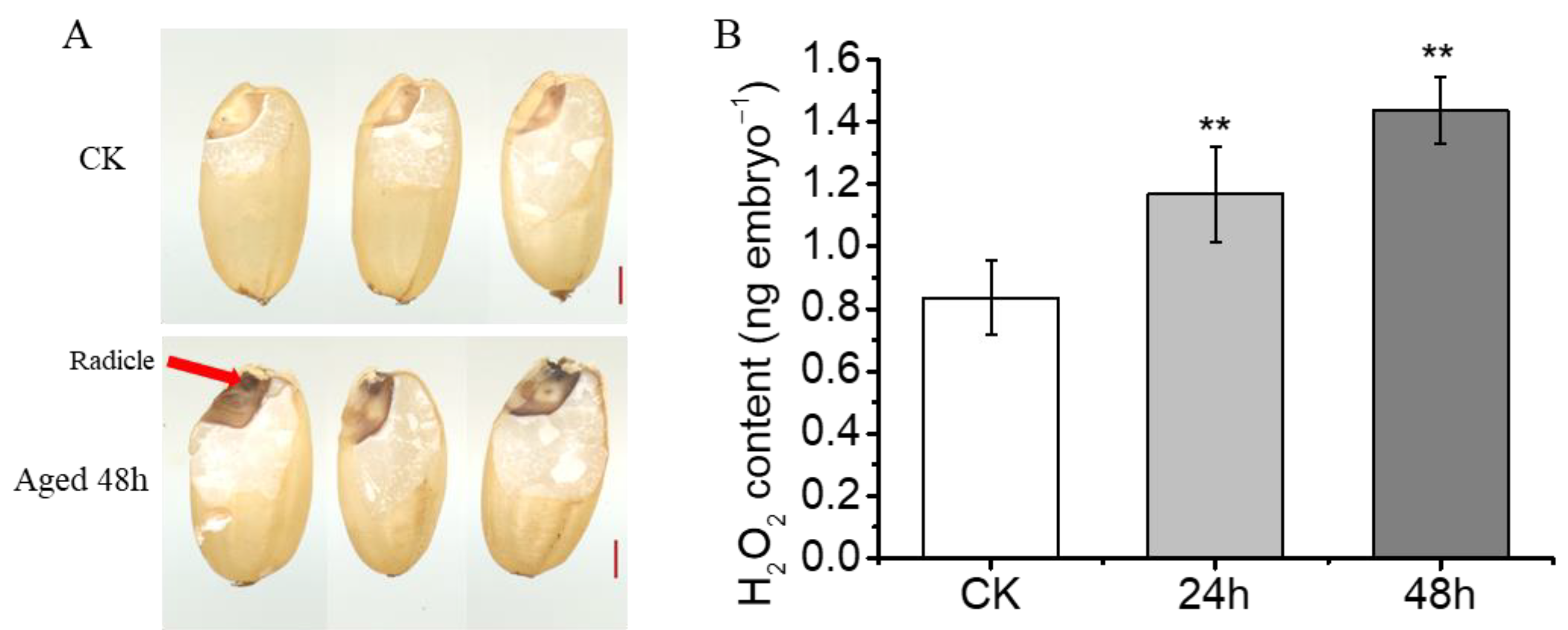 Plants 13 00809 g002