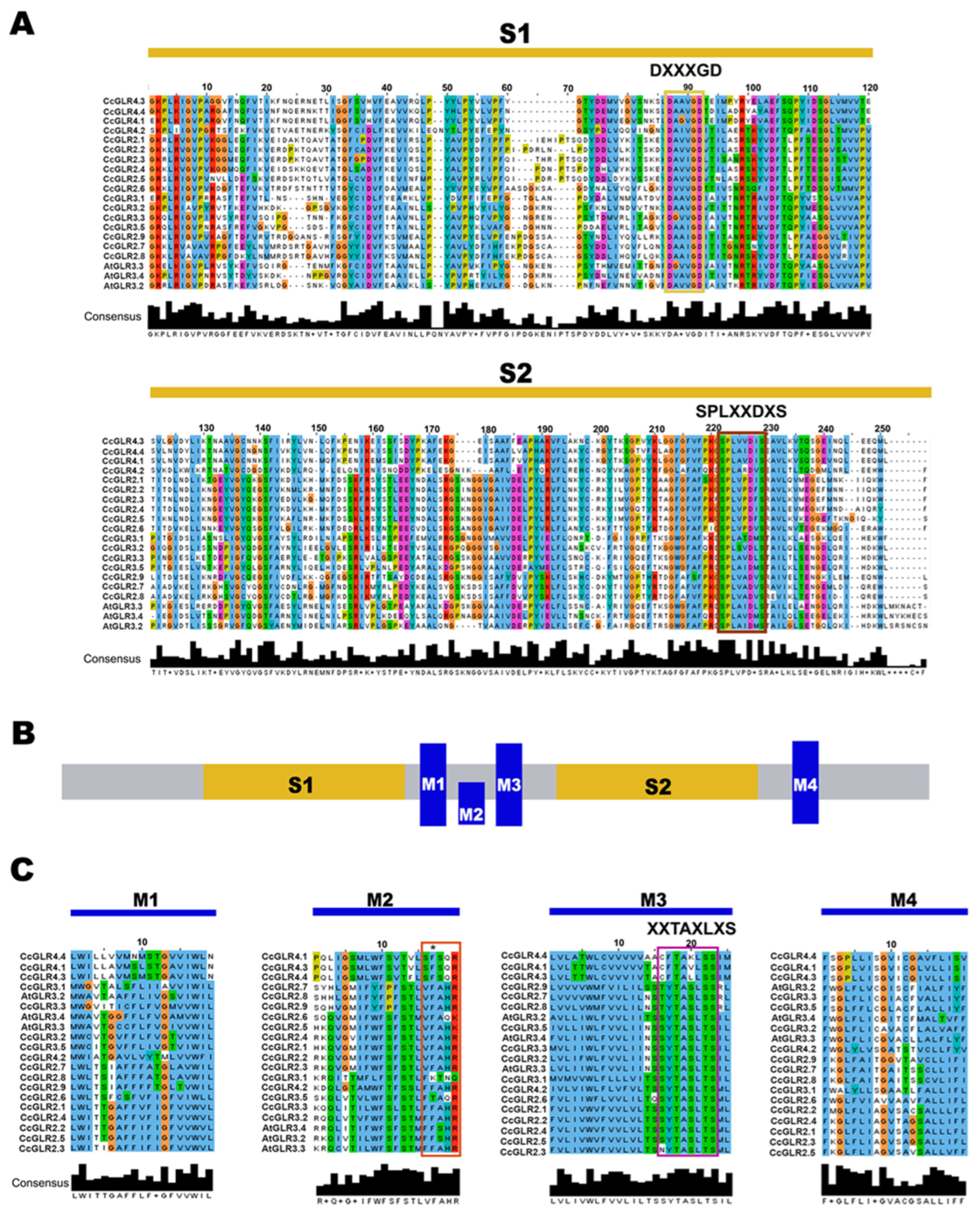 Plants 13 00812 g001