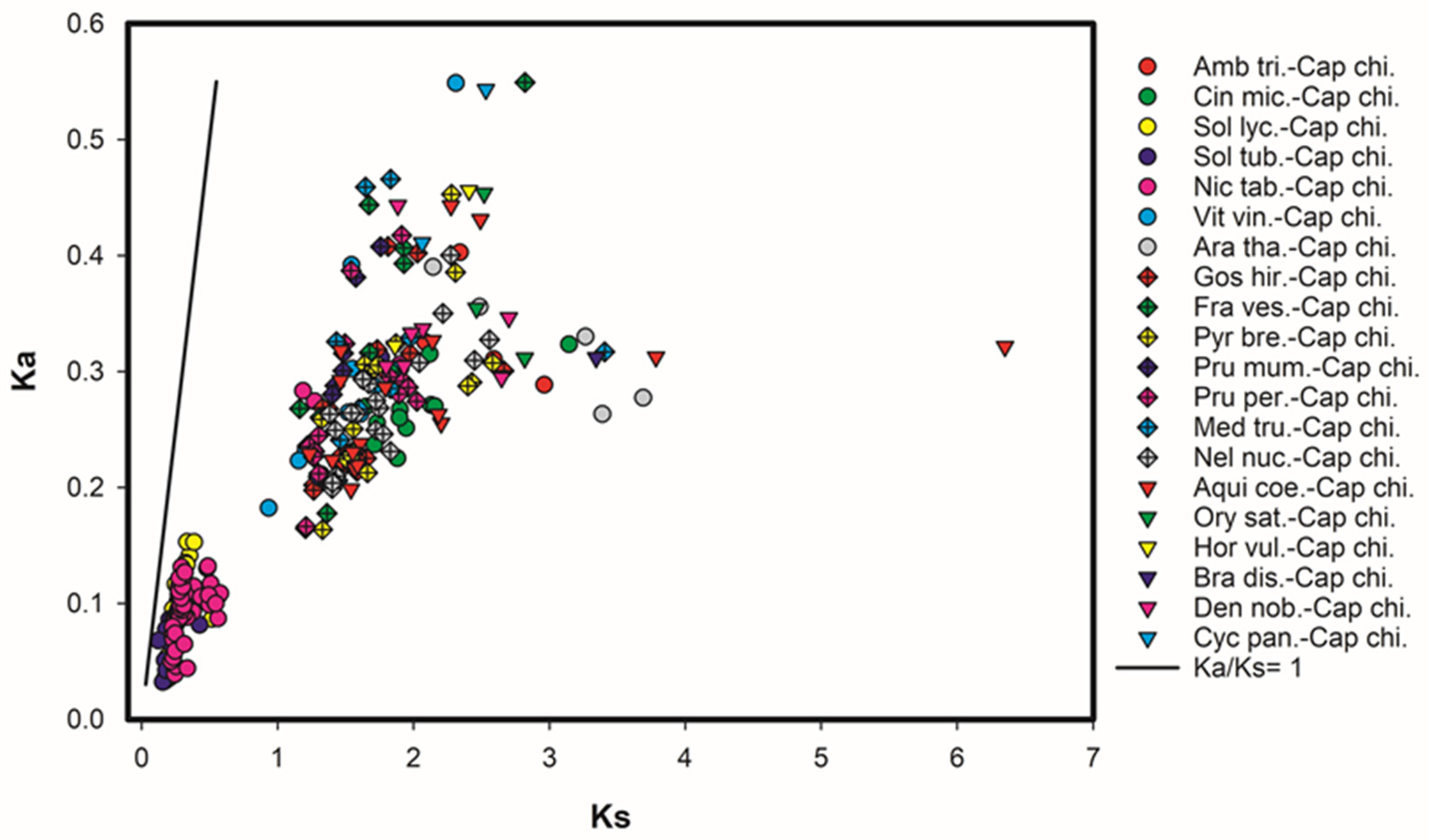 Plants 13 00812 g004