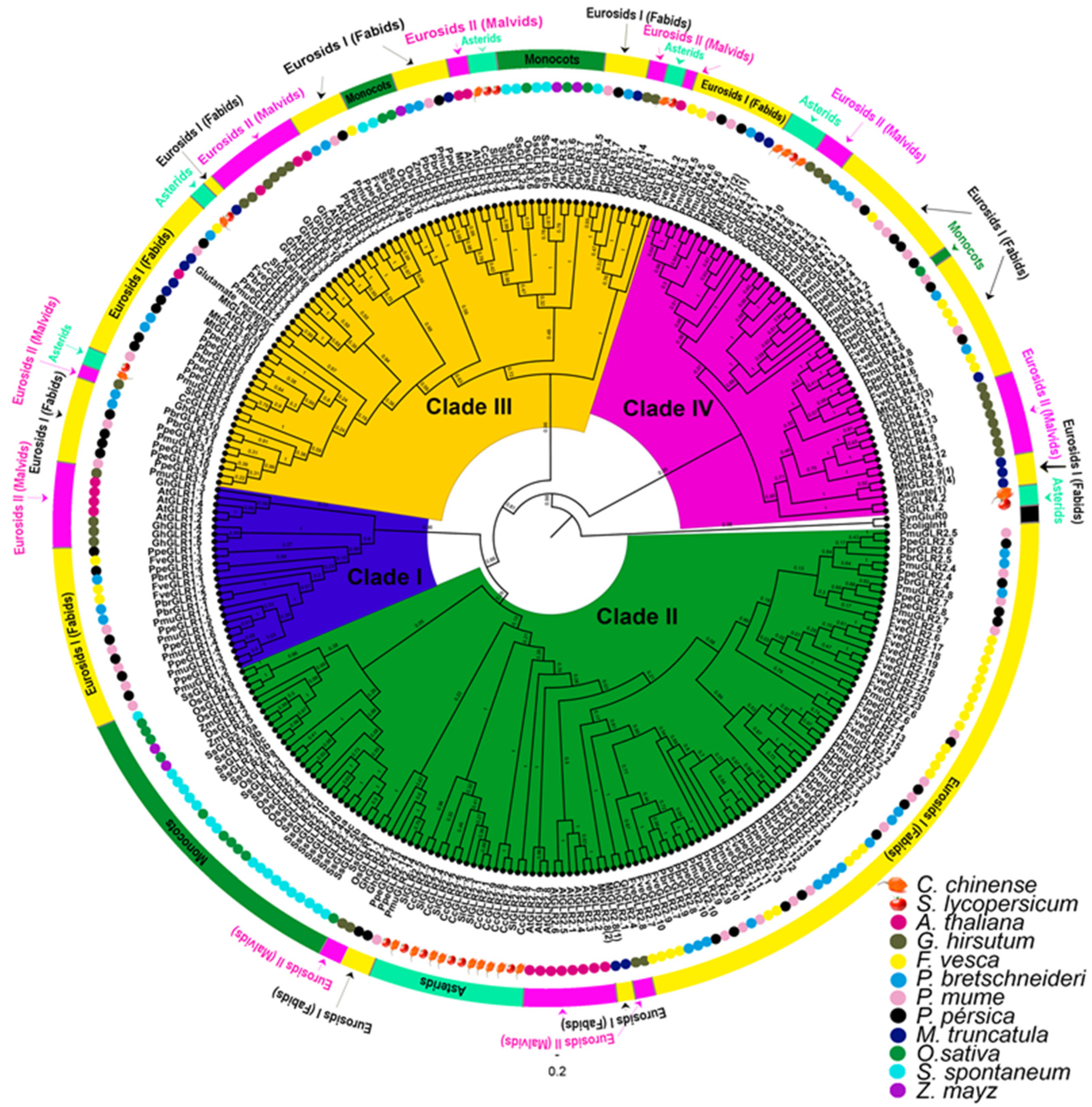 Plants 13 00812 g005