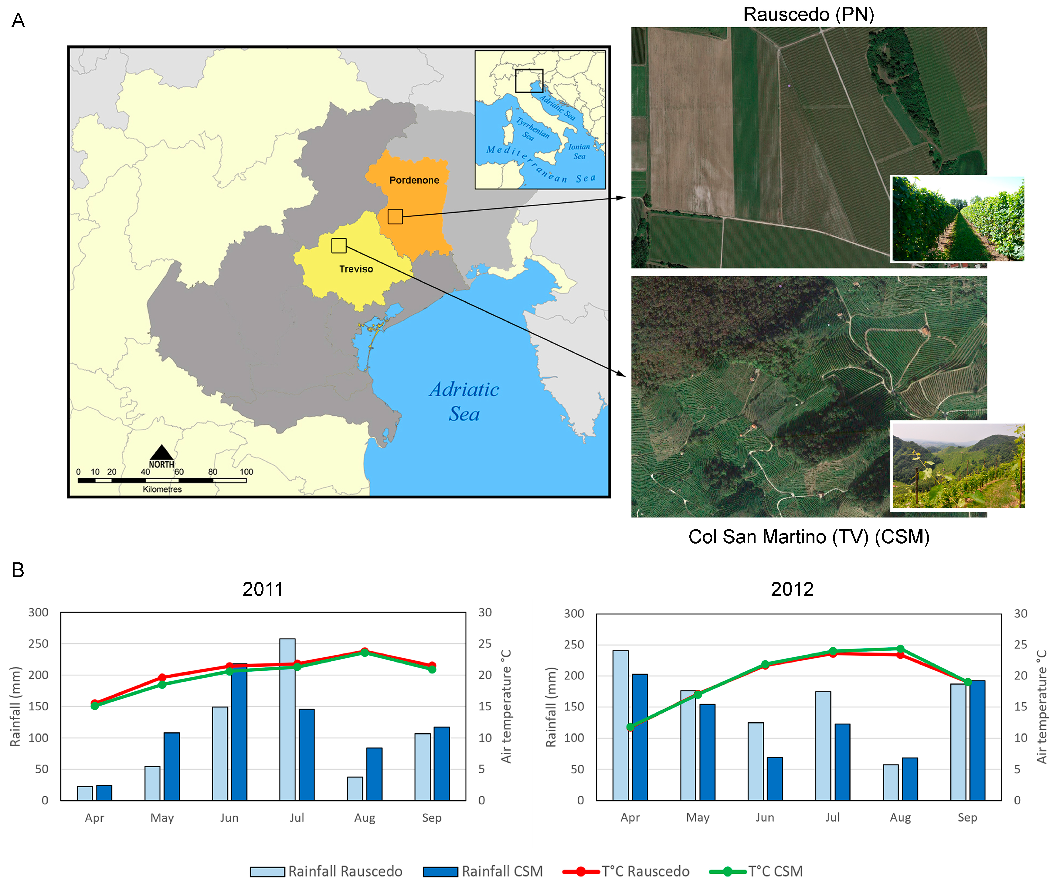 Plants 13 00816 g001