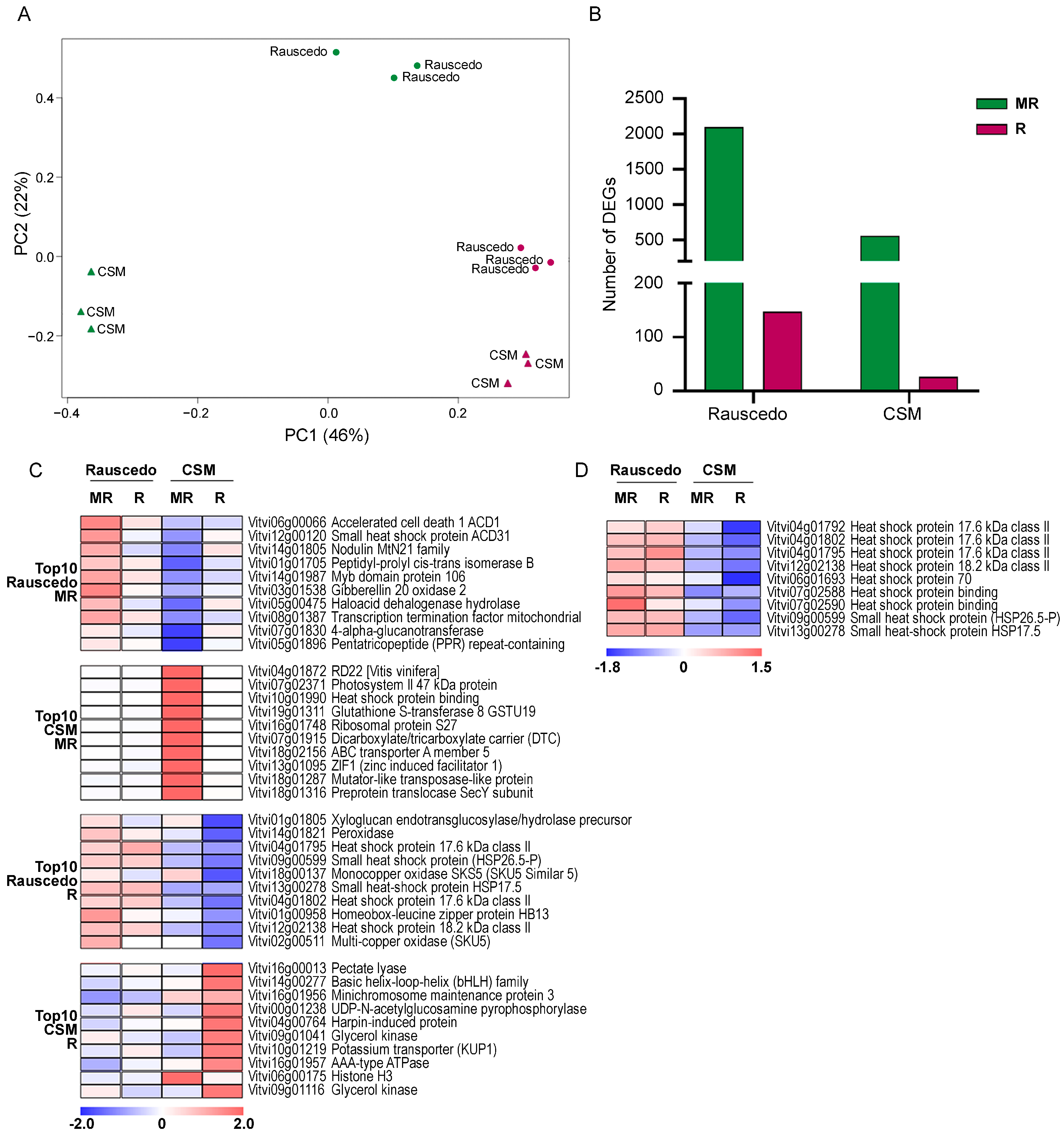 Plants 13 00816 g006