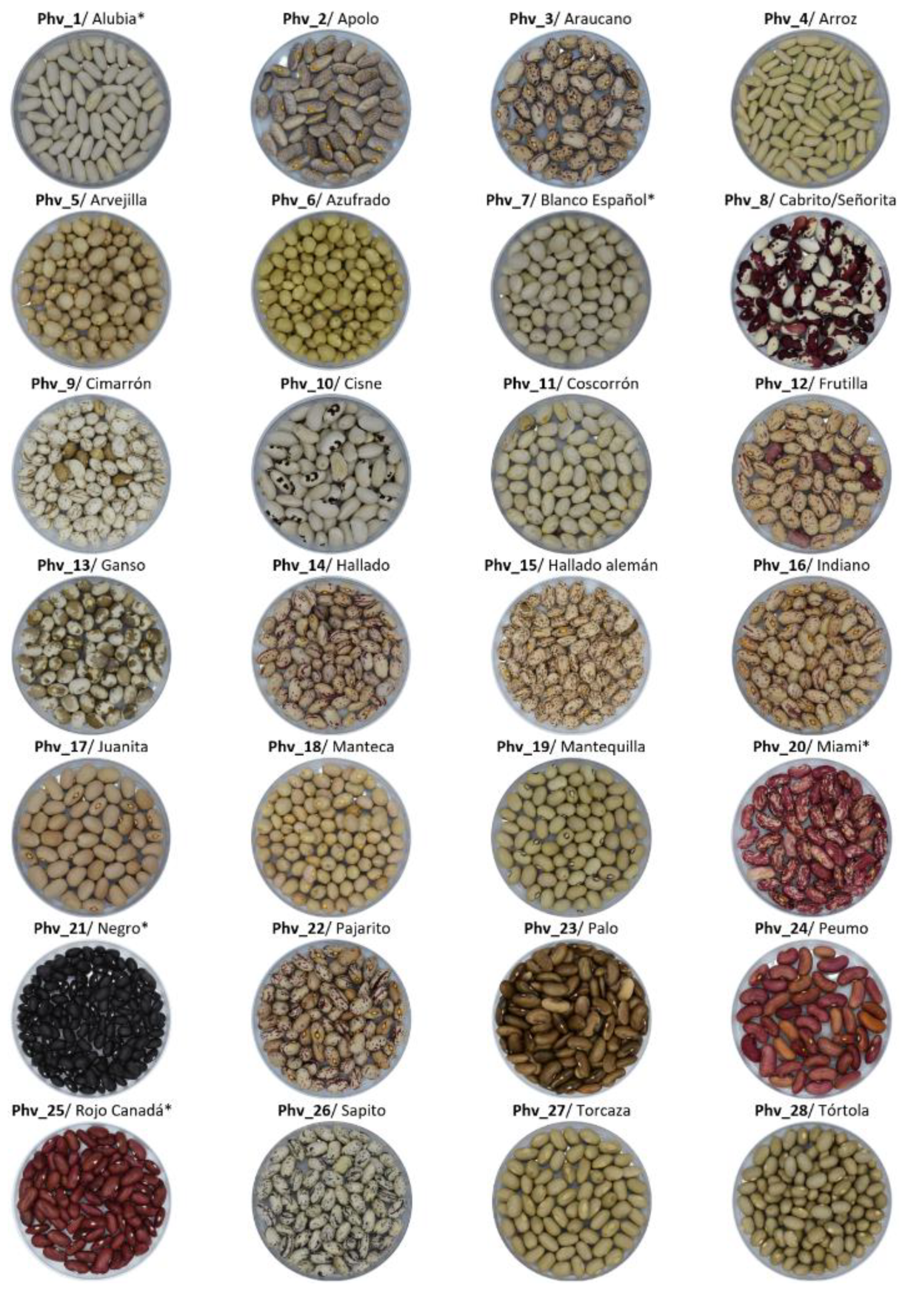 Plants 13 00817 g011