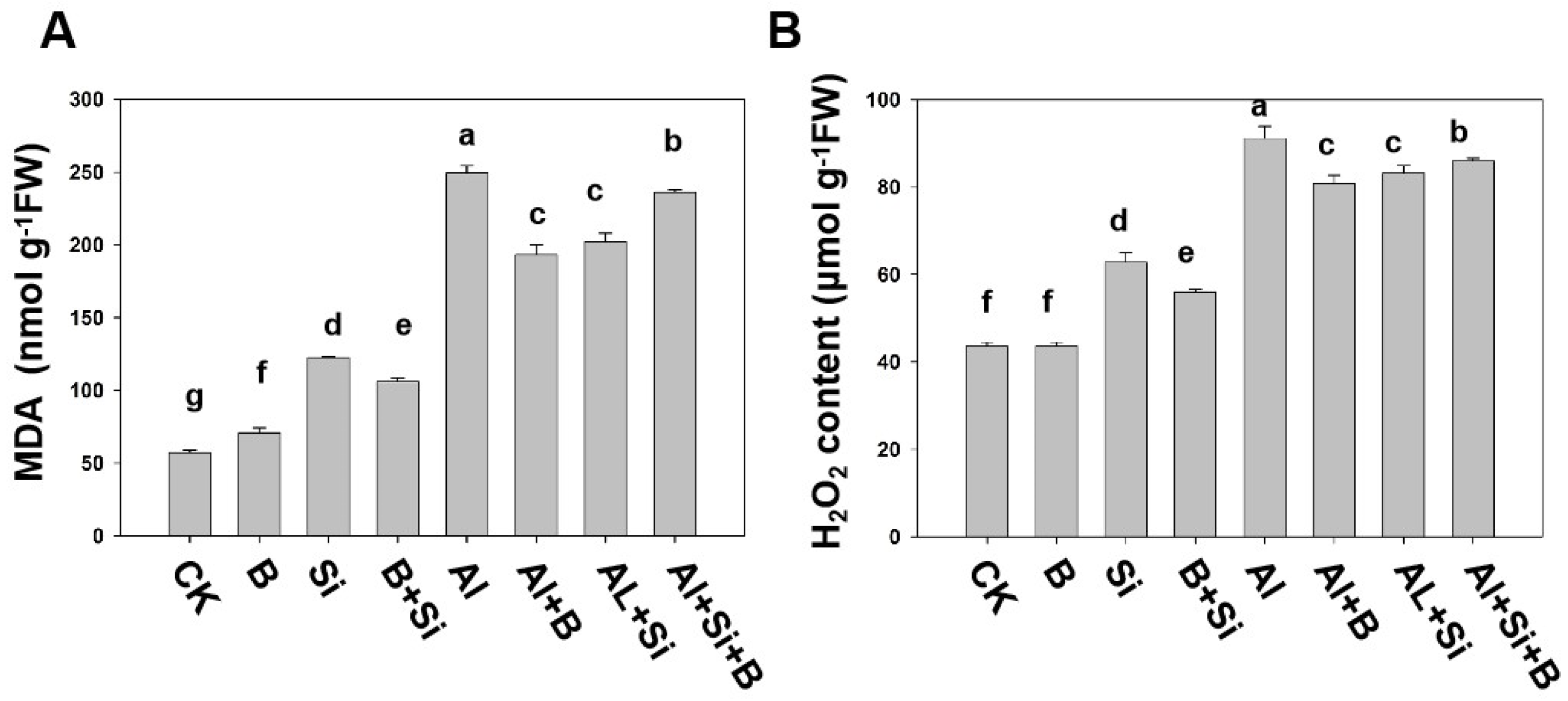 Plants 13 00821 g003