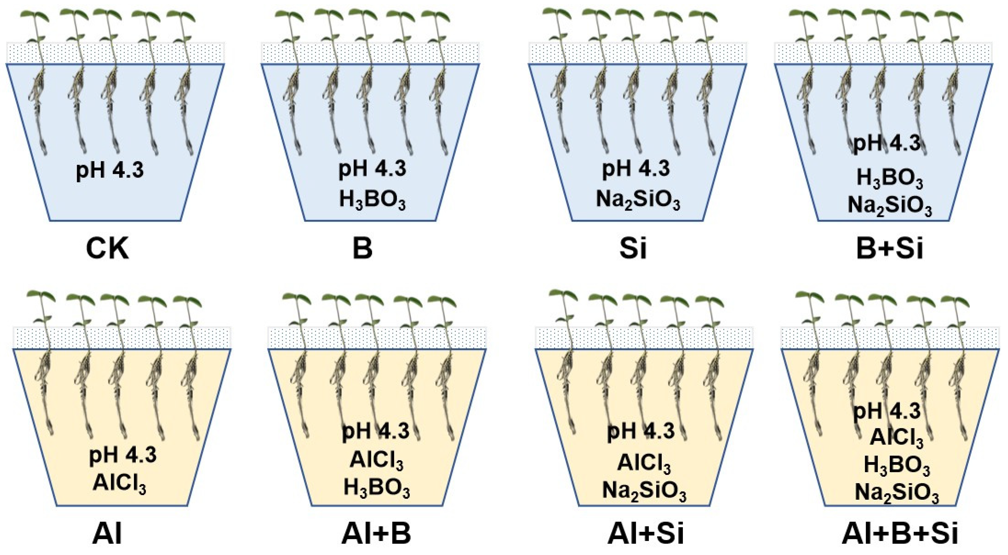 Plants 13 00821 g006