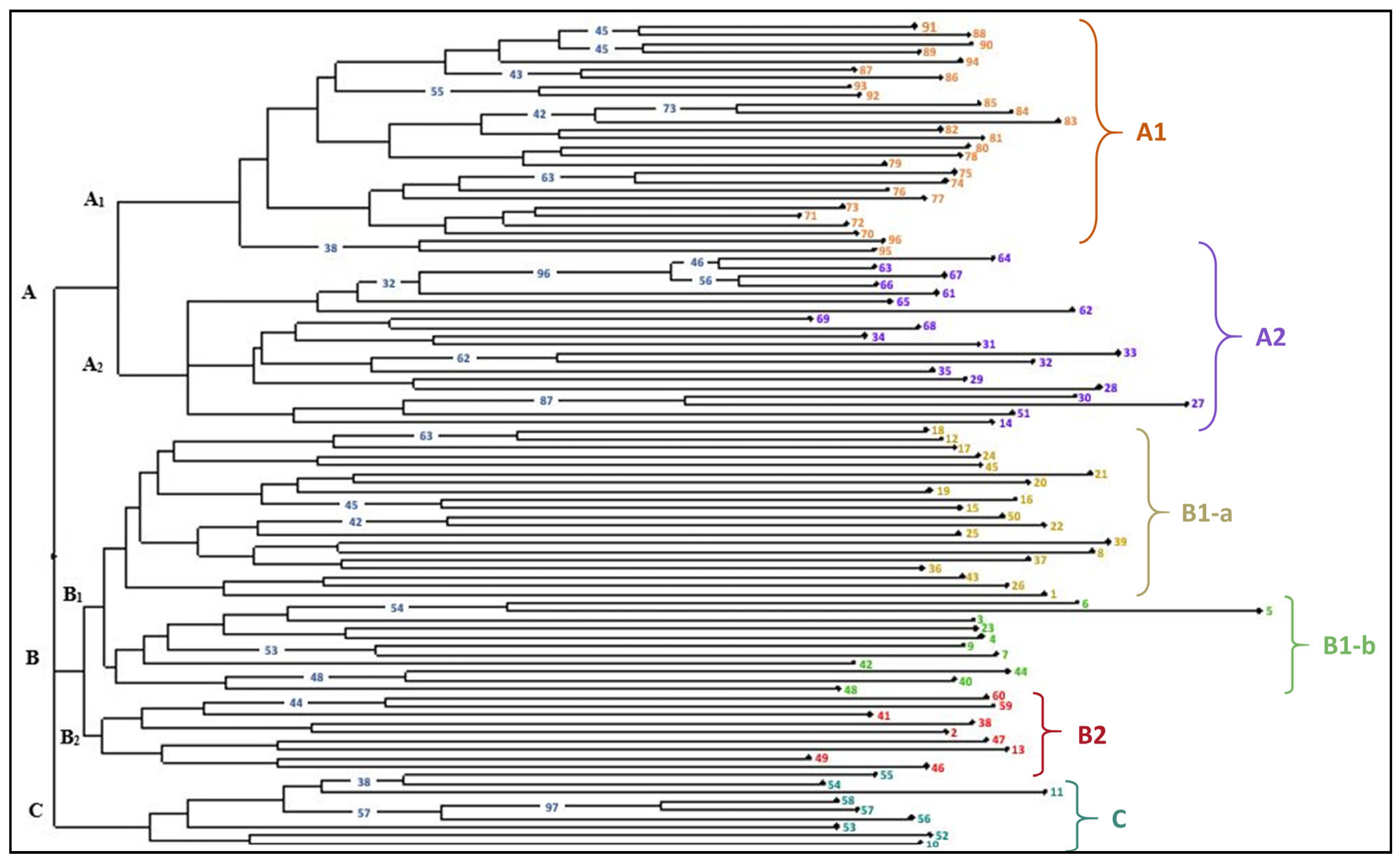 Plants 13 00823 g002