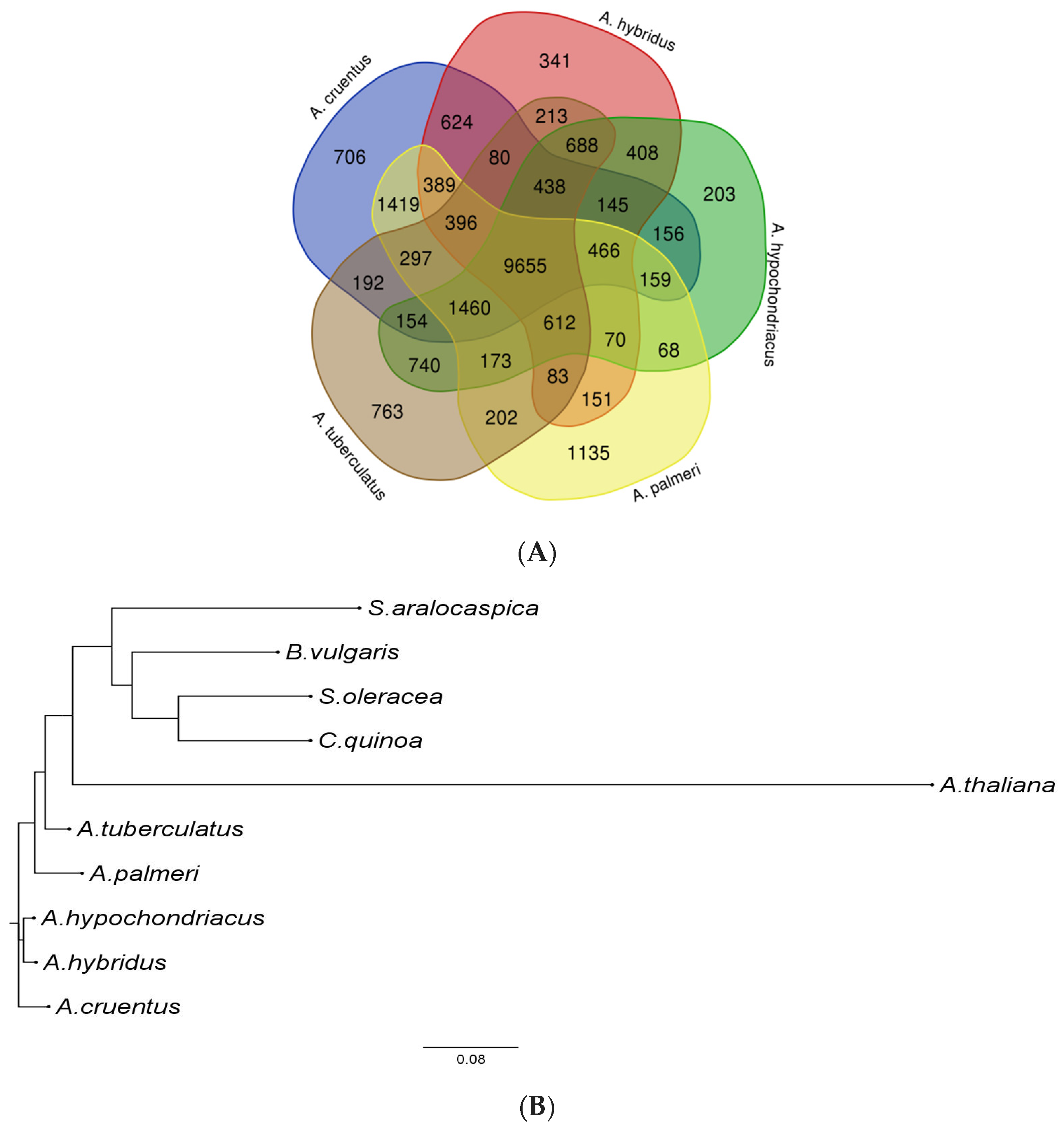 Plants 13 00824 g003
