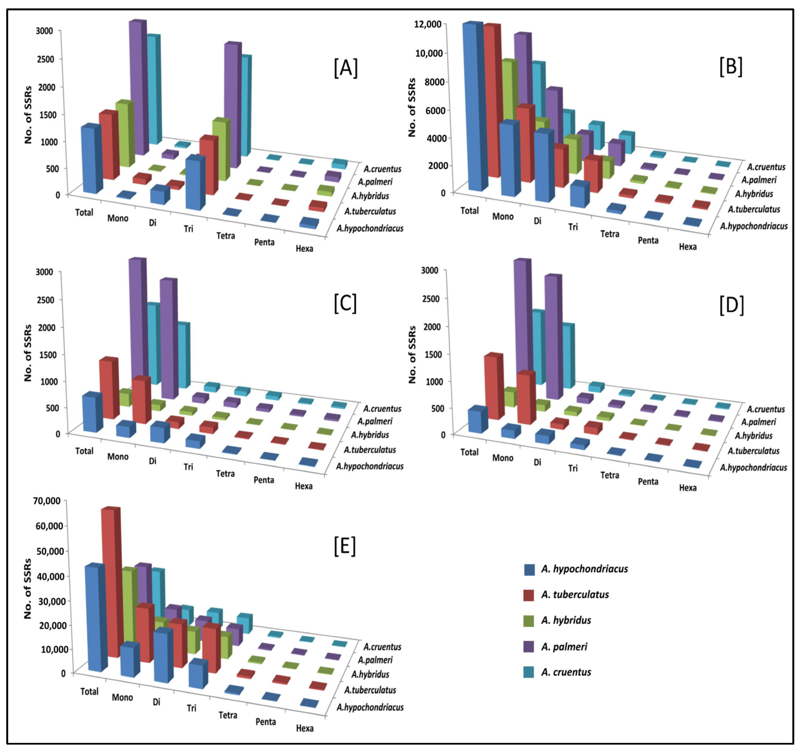 Plants 13 00824 g005