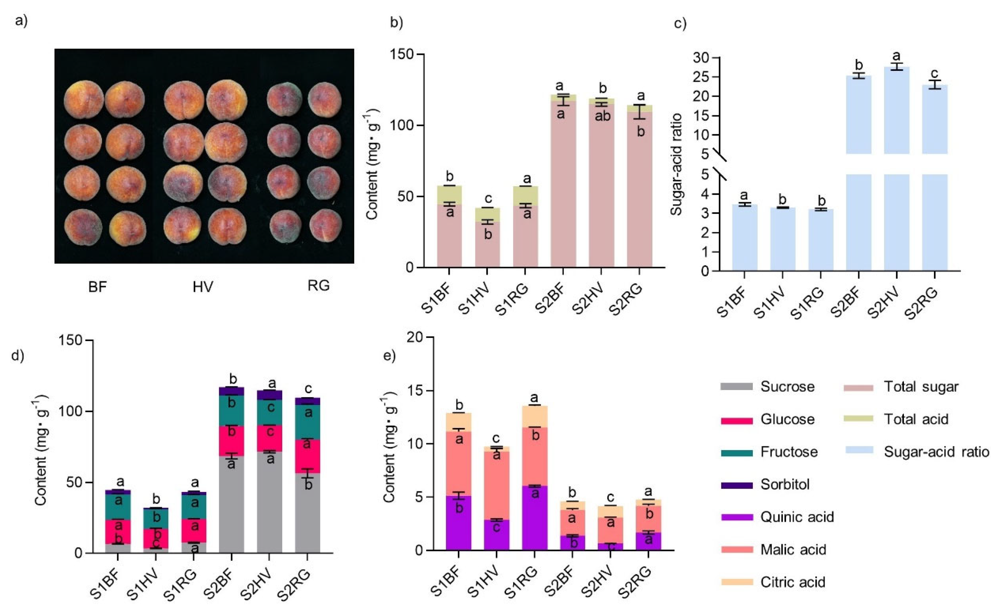 Plants 13 00827 g004