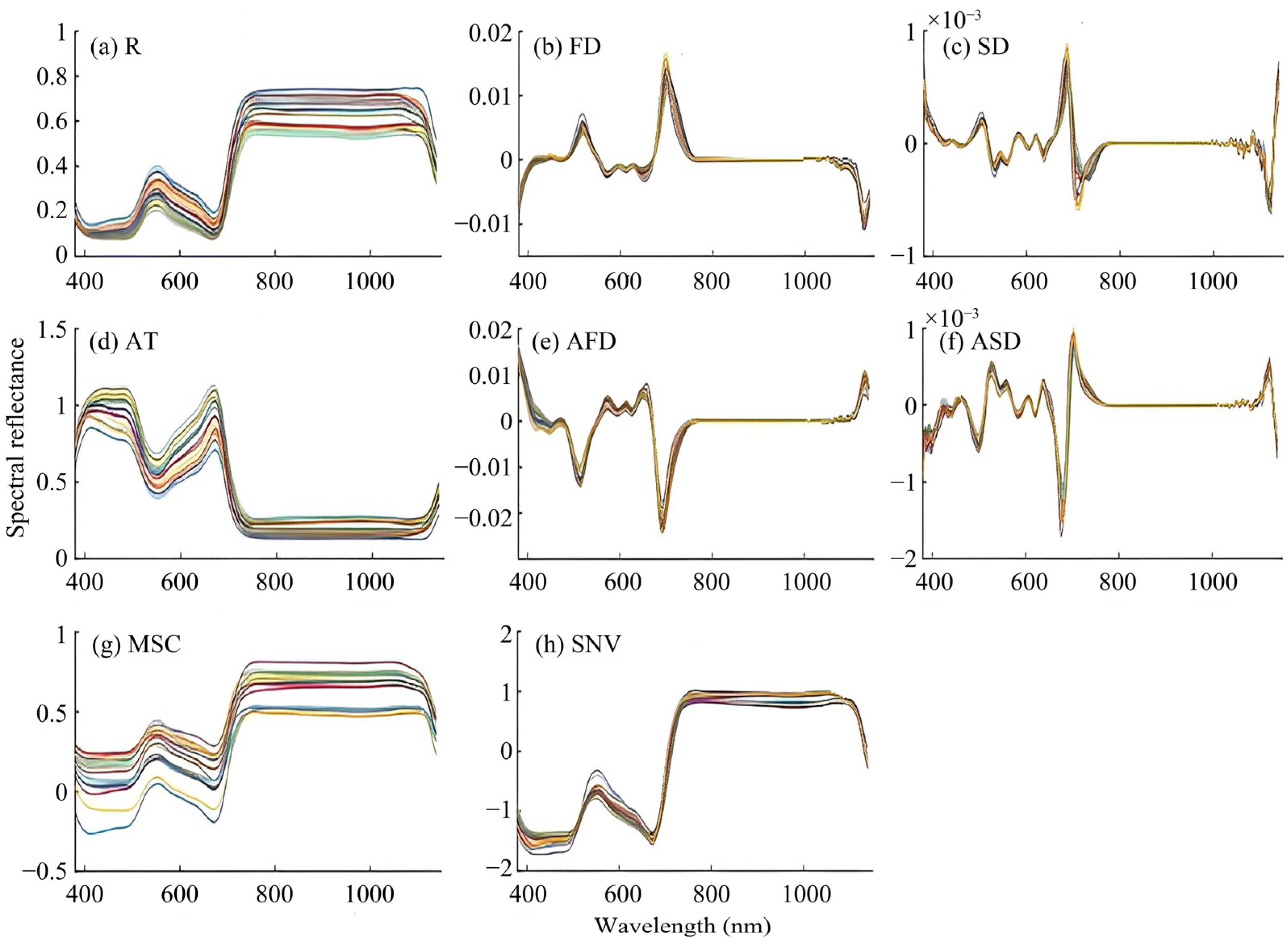 Plants 13 00831 g002