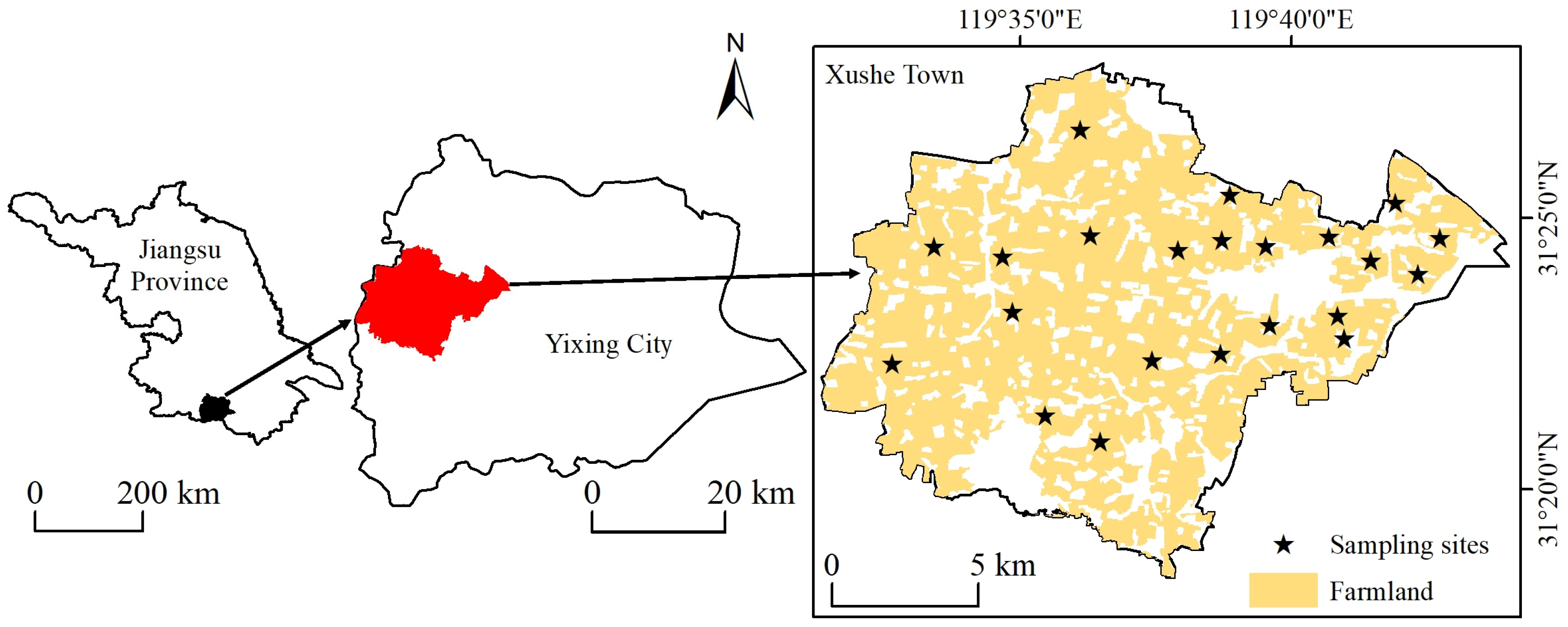 Plants 13 00831 g004