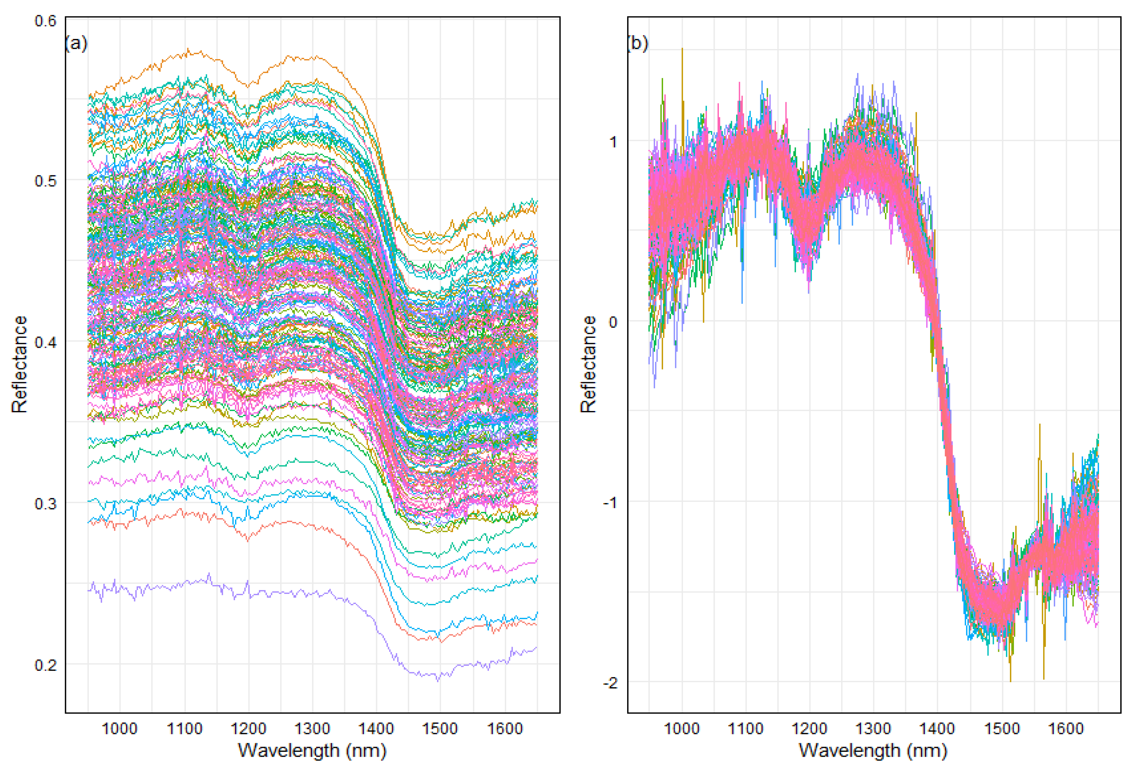 Plants 13 00833 g001