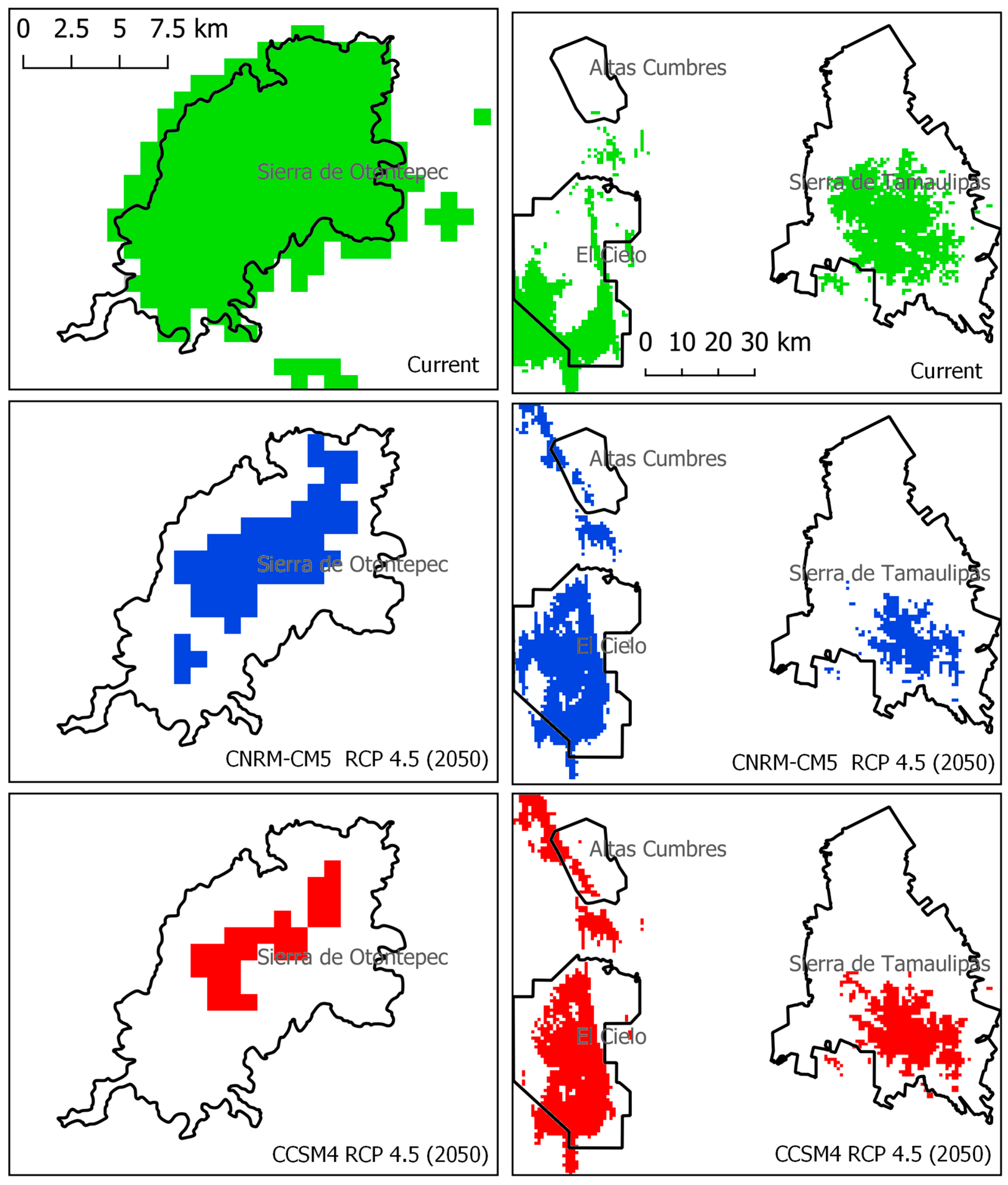 Plants 13 00839 g004