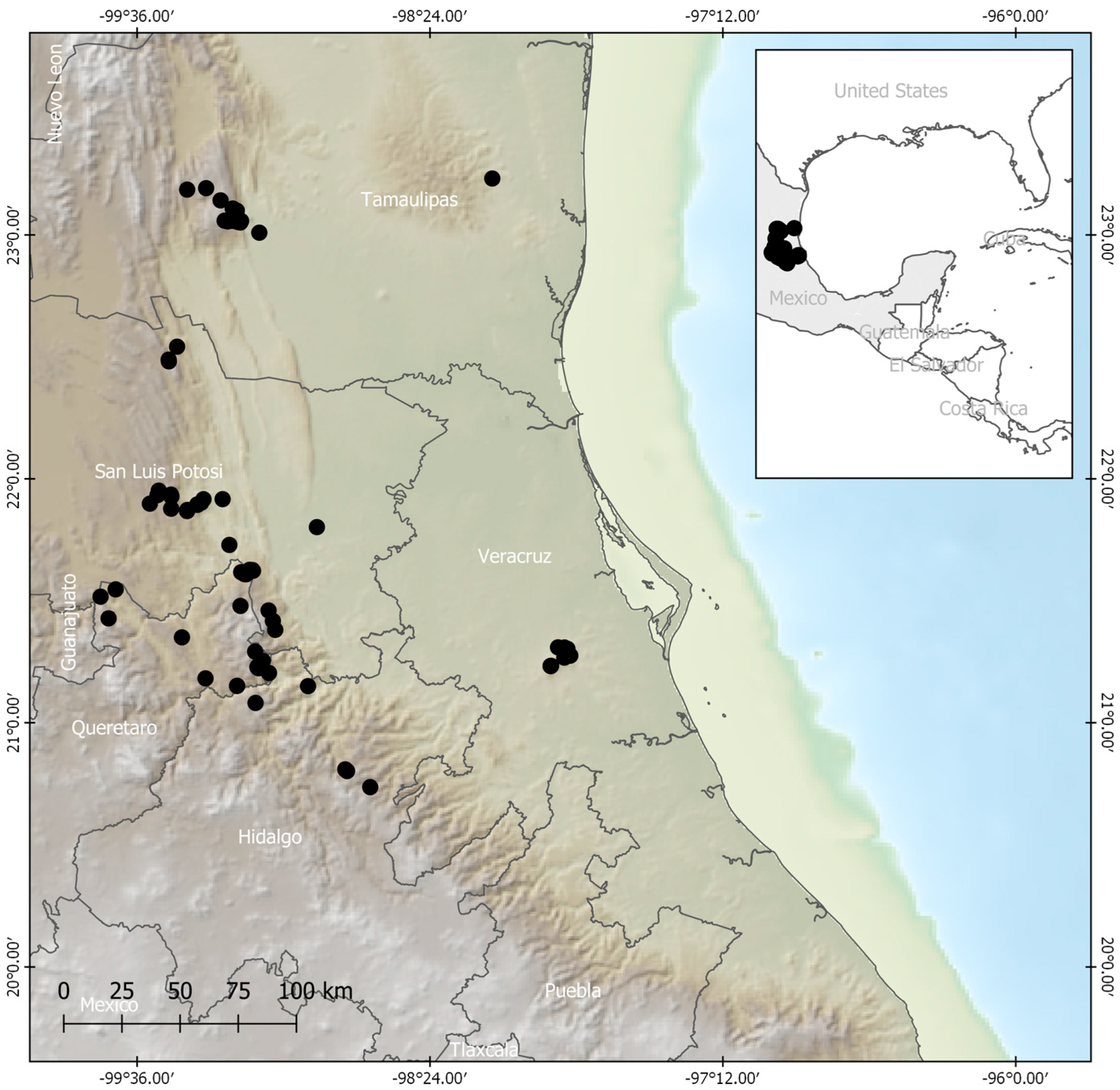 Plants 13 00839 g005